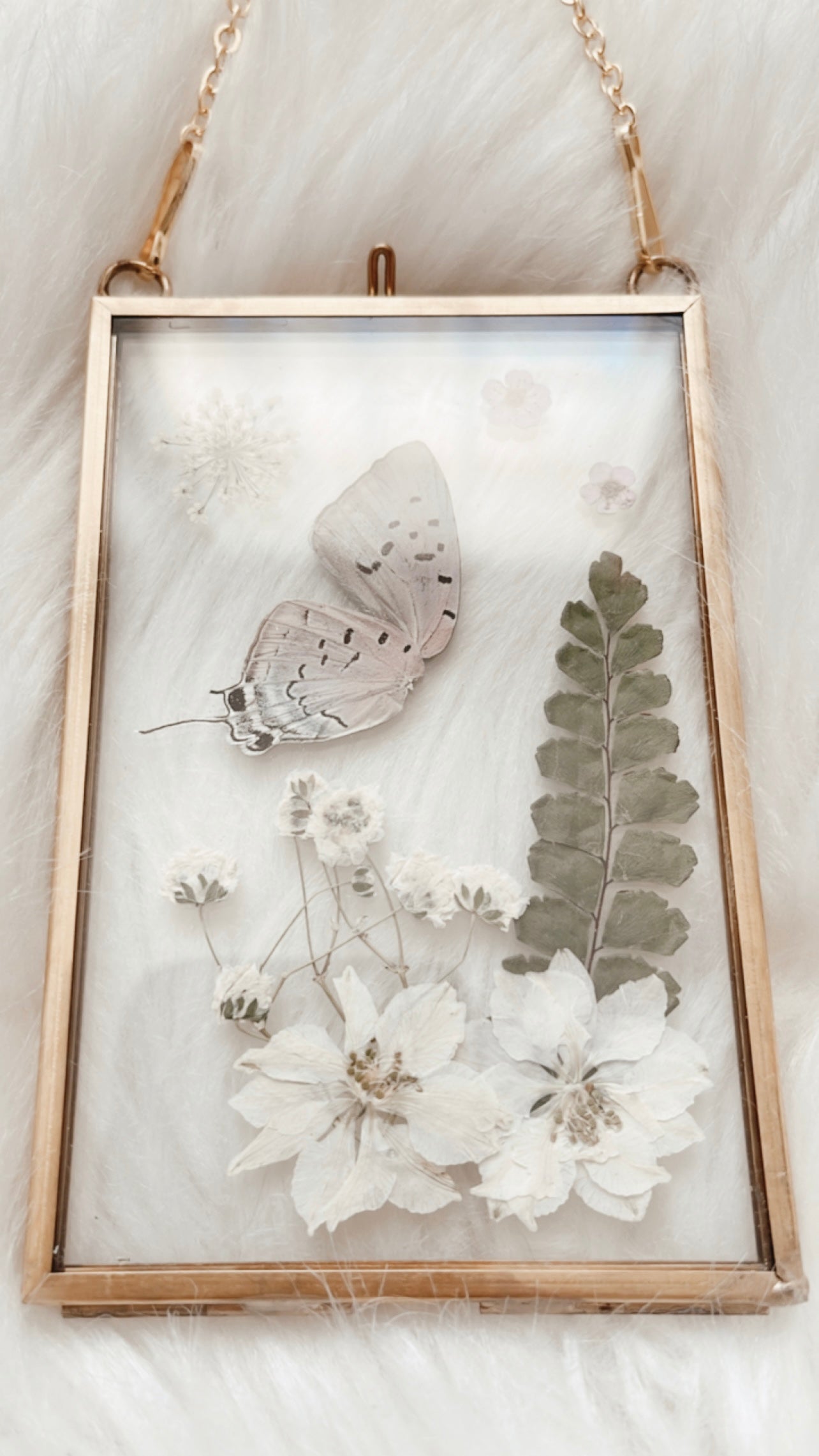 Charlotte Butterfly Floral Frame