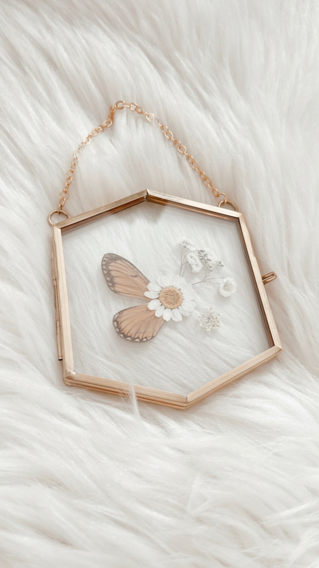 Charlotte Butterfly Floral Frame