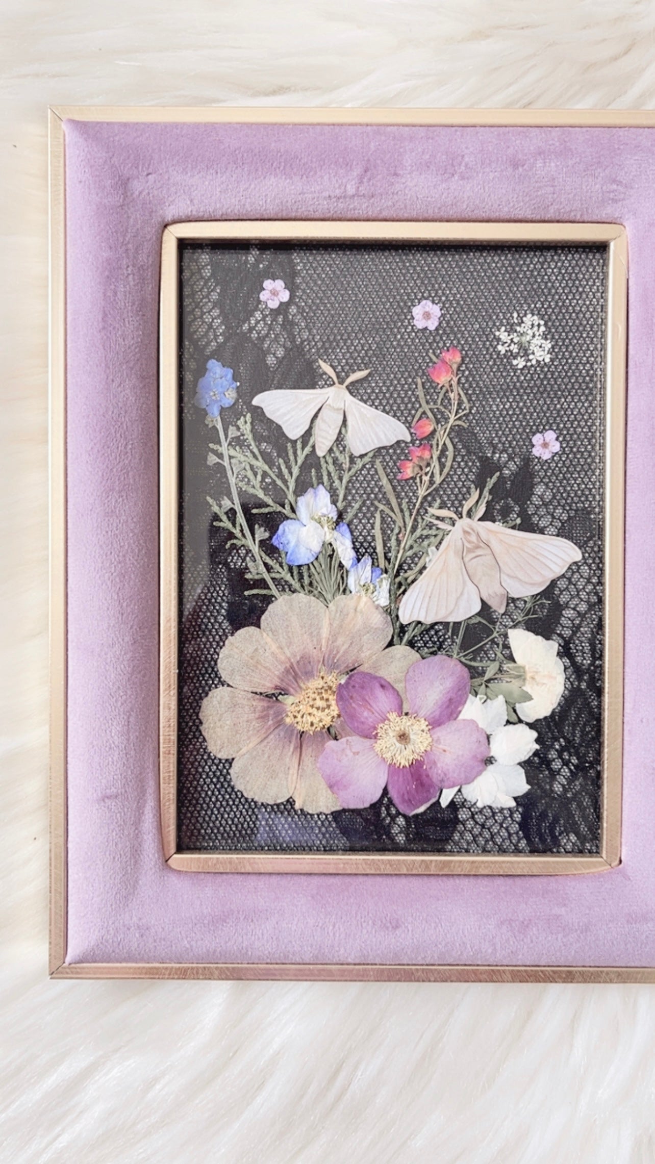 Charlotte Paper Replica Ornate Frame
