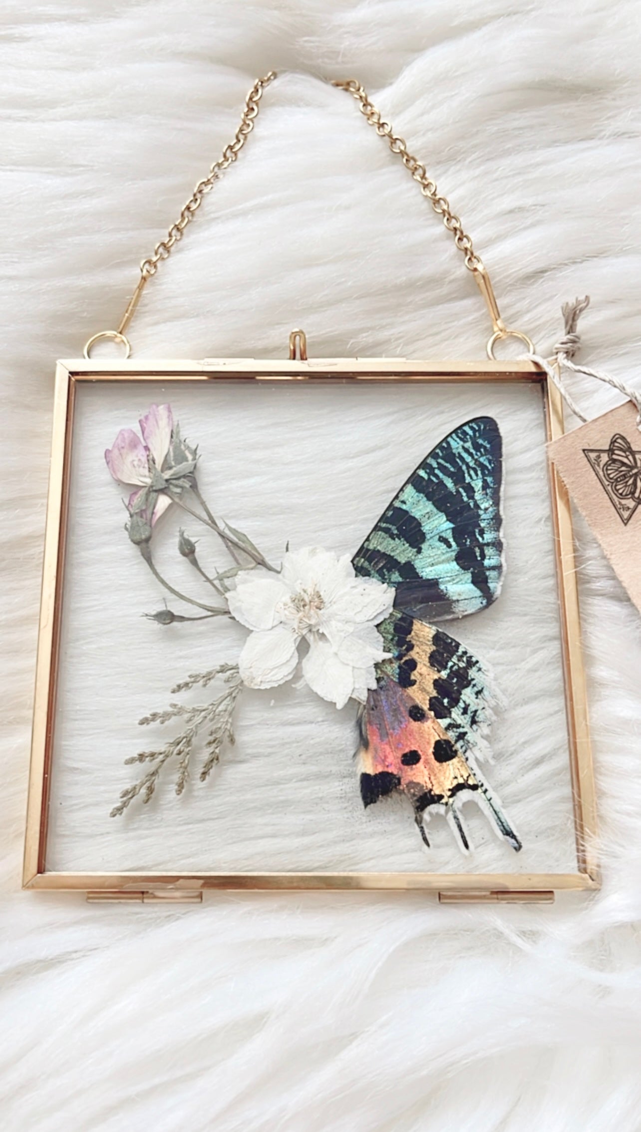 Charmaine Moth Floral Frame <4x4in>