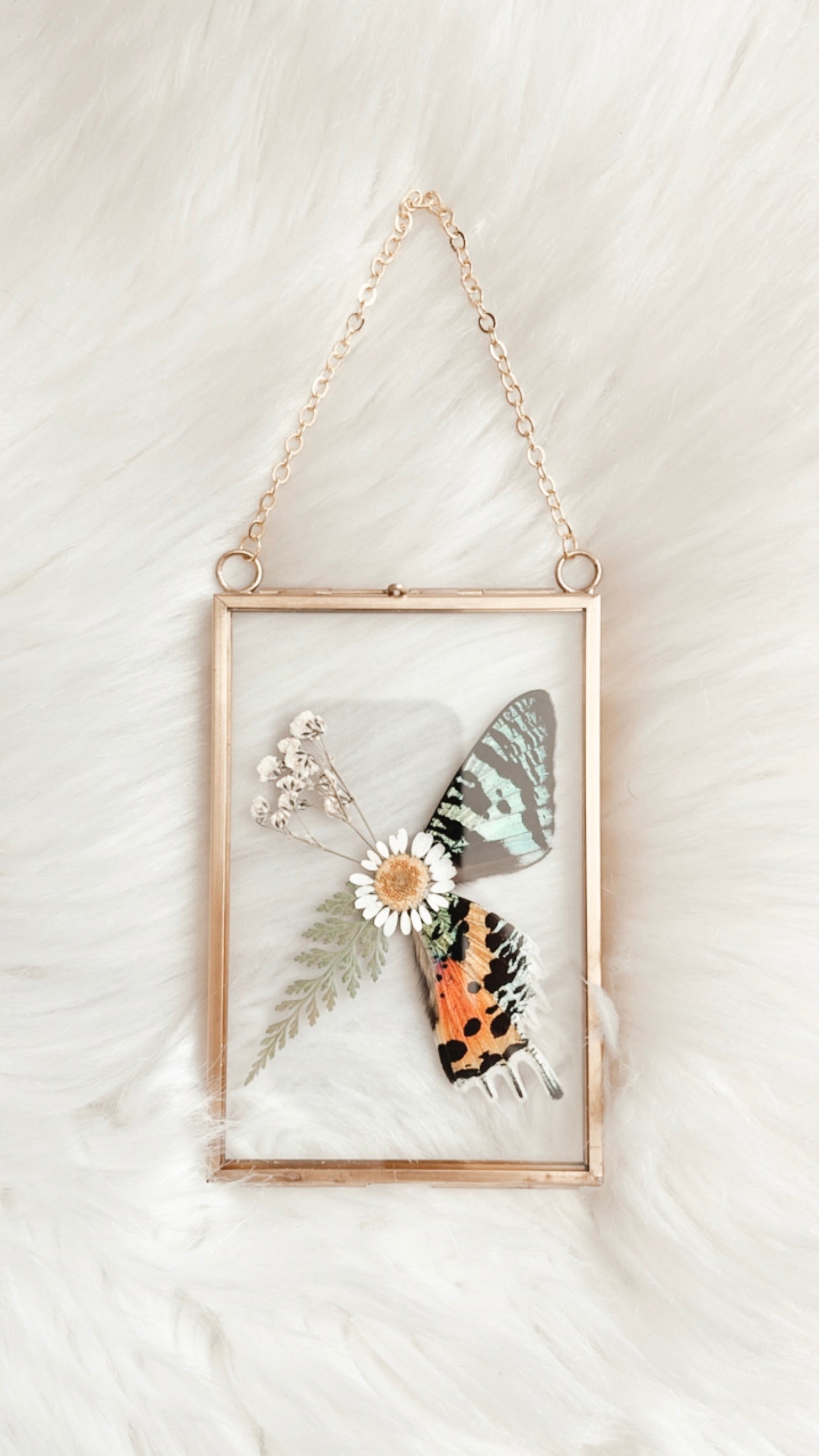 Chepi Sunset Moth Floral Frame