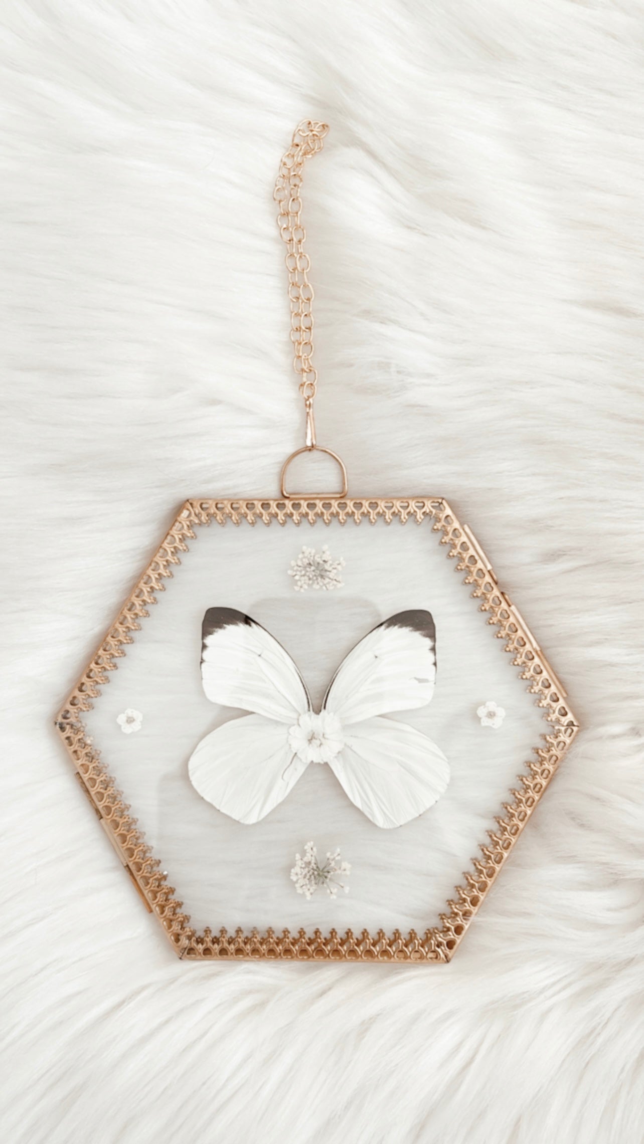 Chloe Butterfly Floral Frame