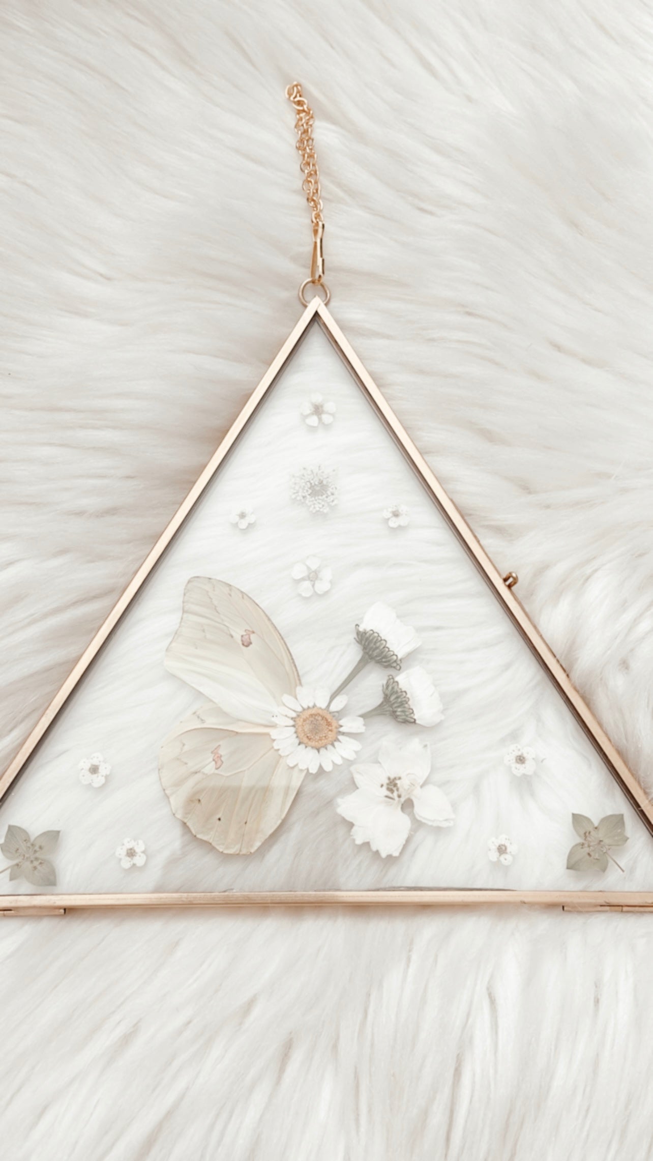 Chrissie Butterfly Floral Frame