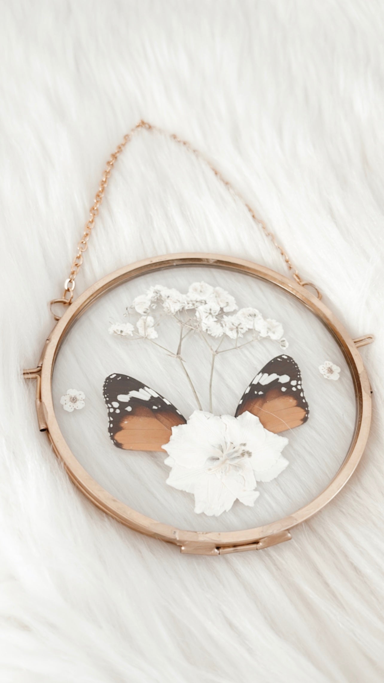 Clarissa Butterfly Floral Frame