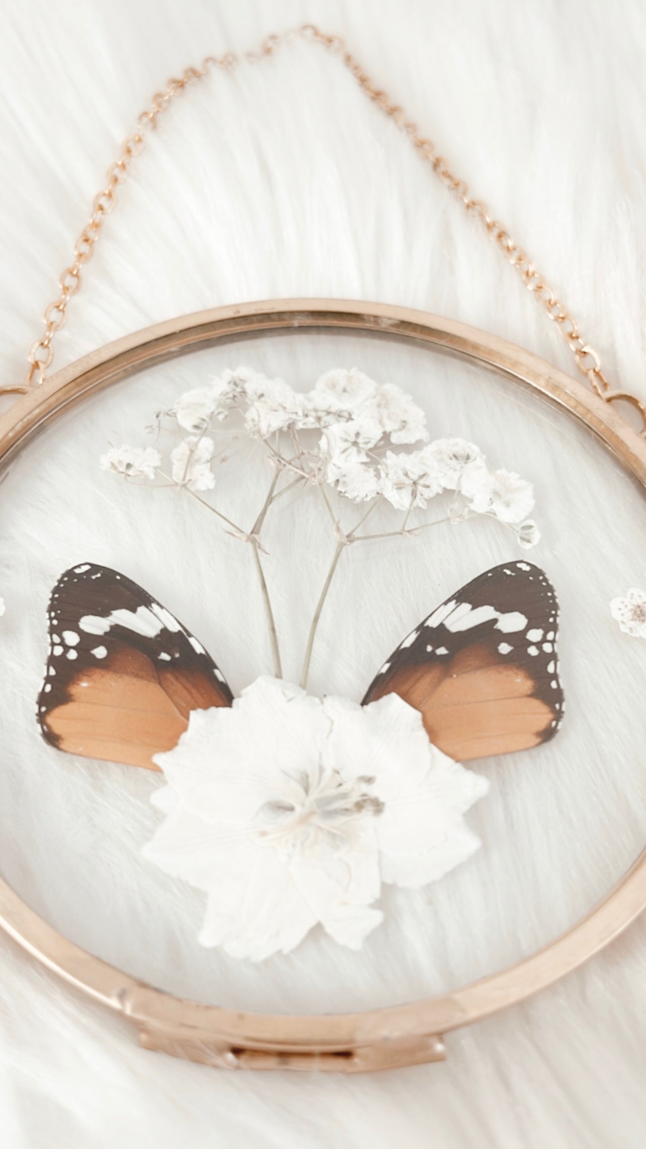 Clarissa Butterfly Floral Frame