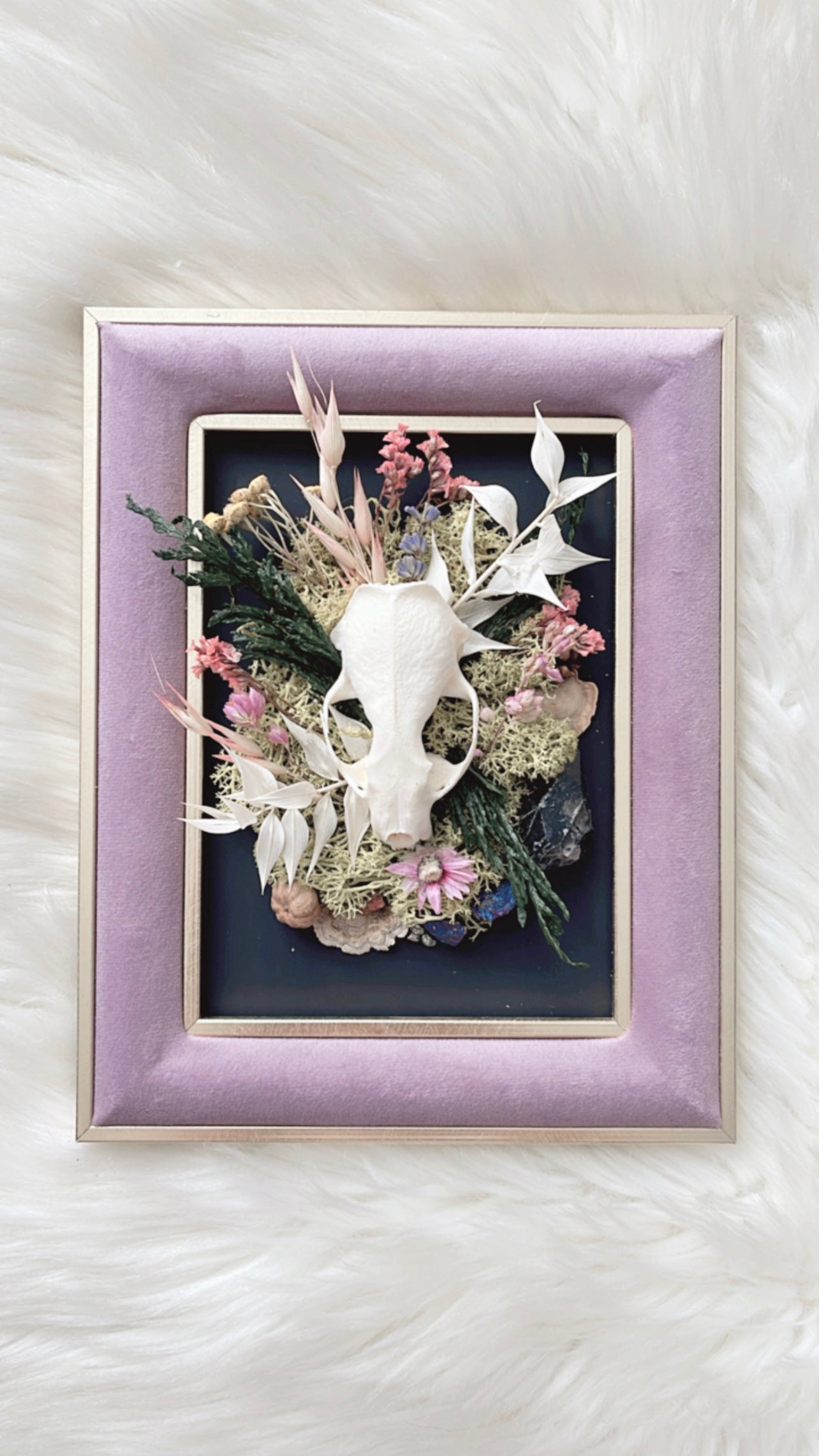 Constance Oddities Frame <Mink Skull>