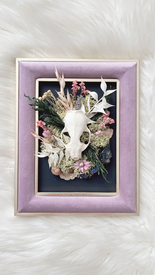 Constance Oddities Frame <Mink Skull>