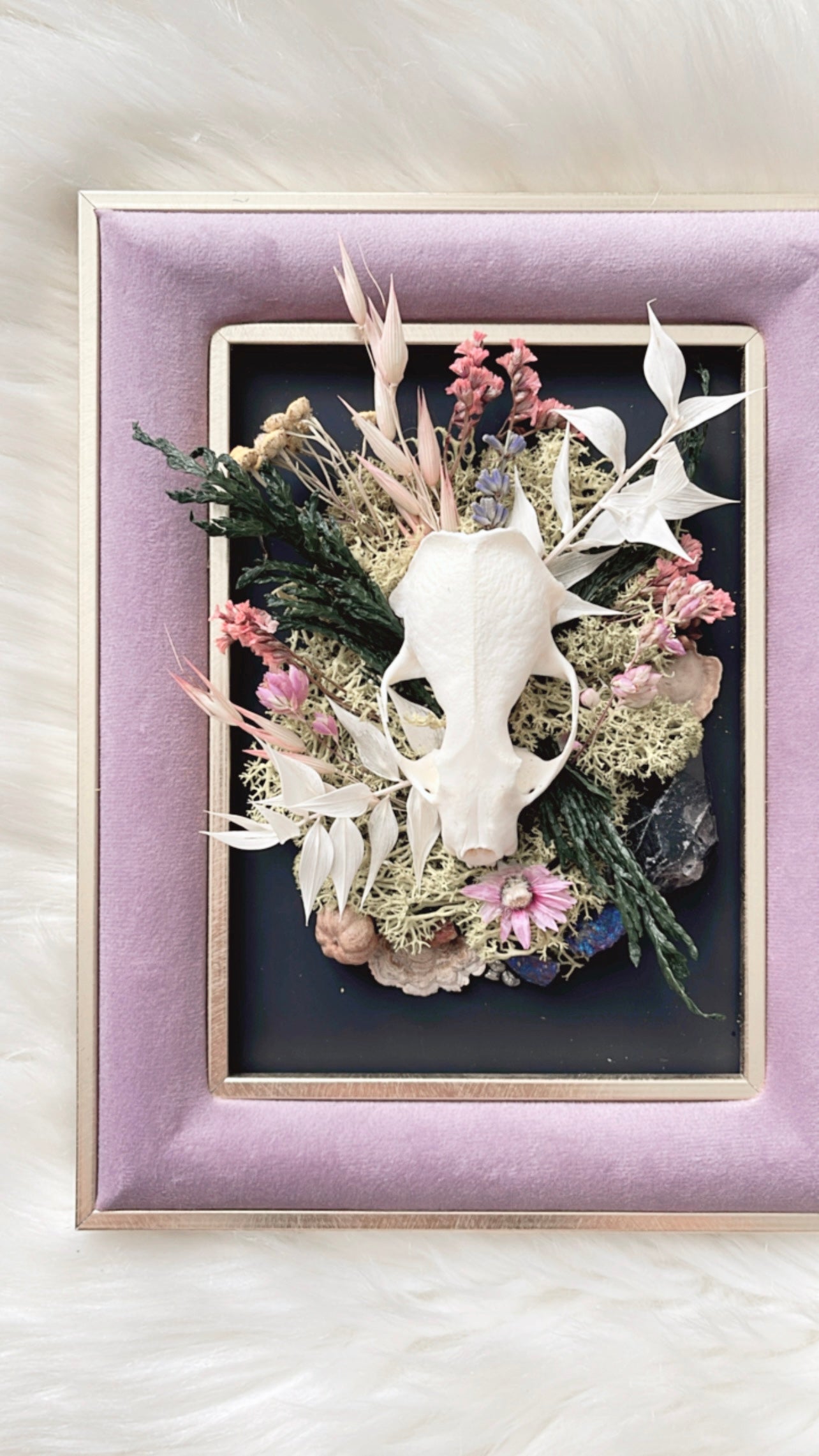 Constance Oddities Frame <Mink Skull>