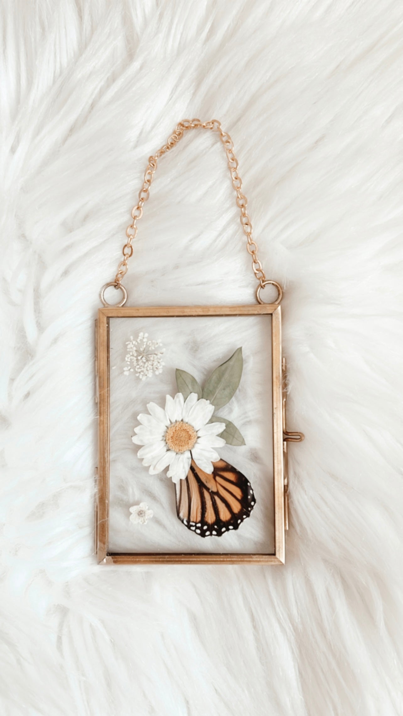 Coralie Butterfly Floral Frame