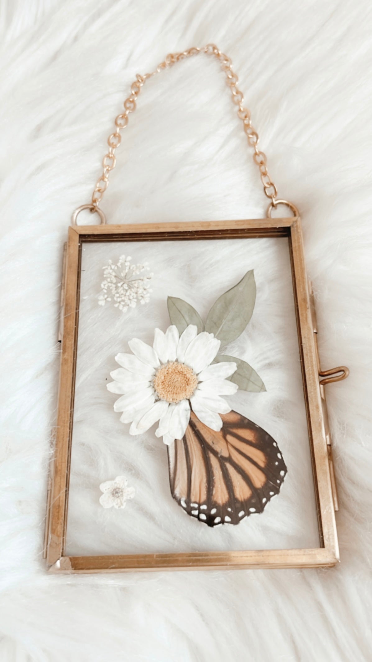 Coralie Butterfly Floral Frame