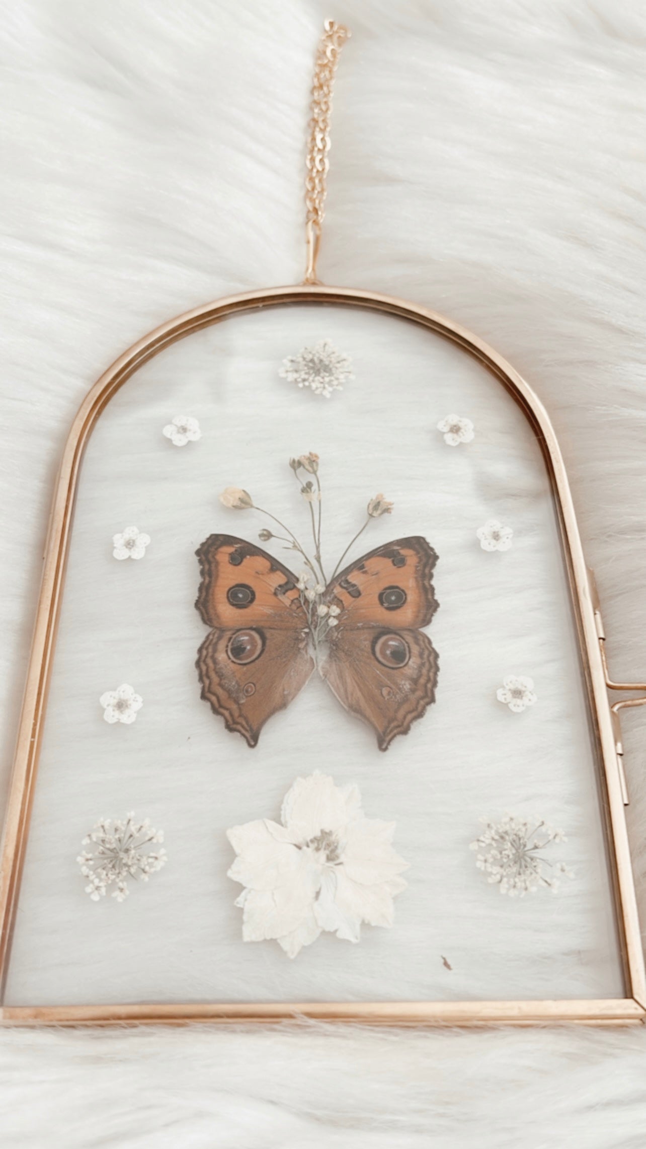 Corinne Butterfly Floral Frame