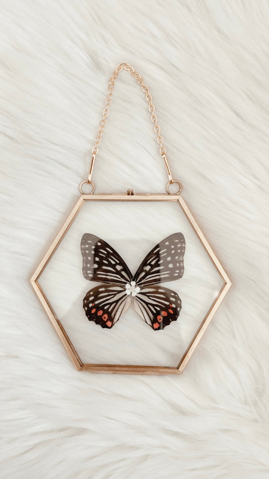 Cosmo Butterfly Floral Frame