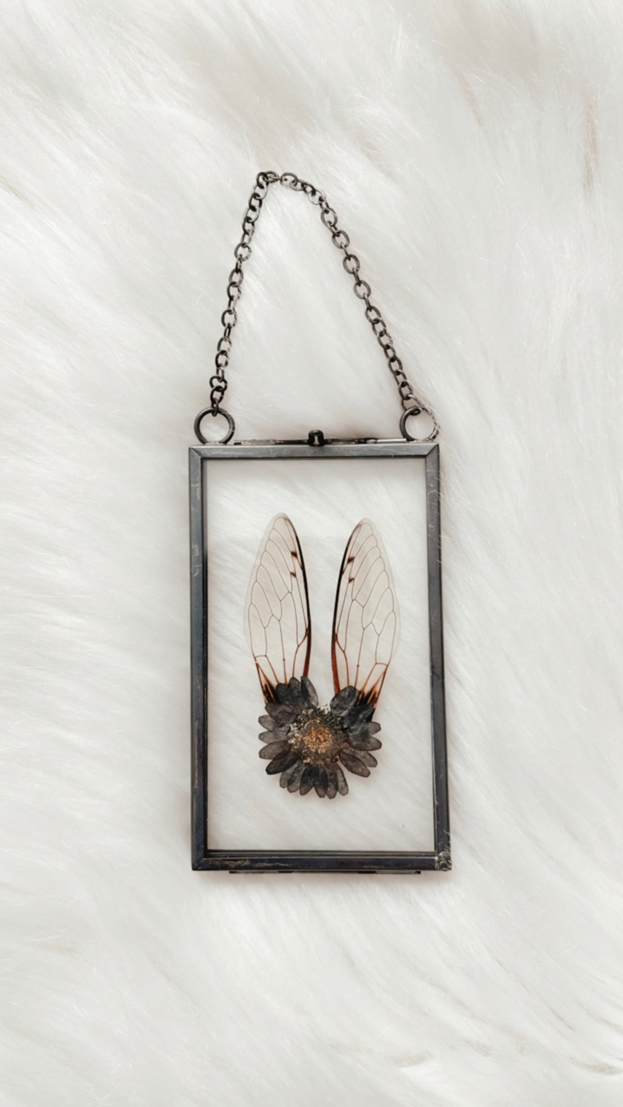 Crue Cicada Floral Frame