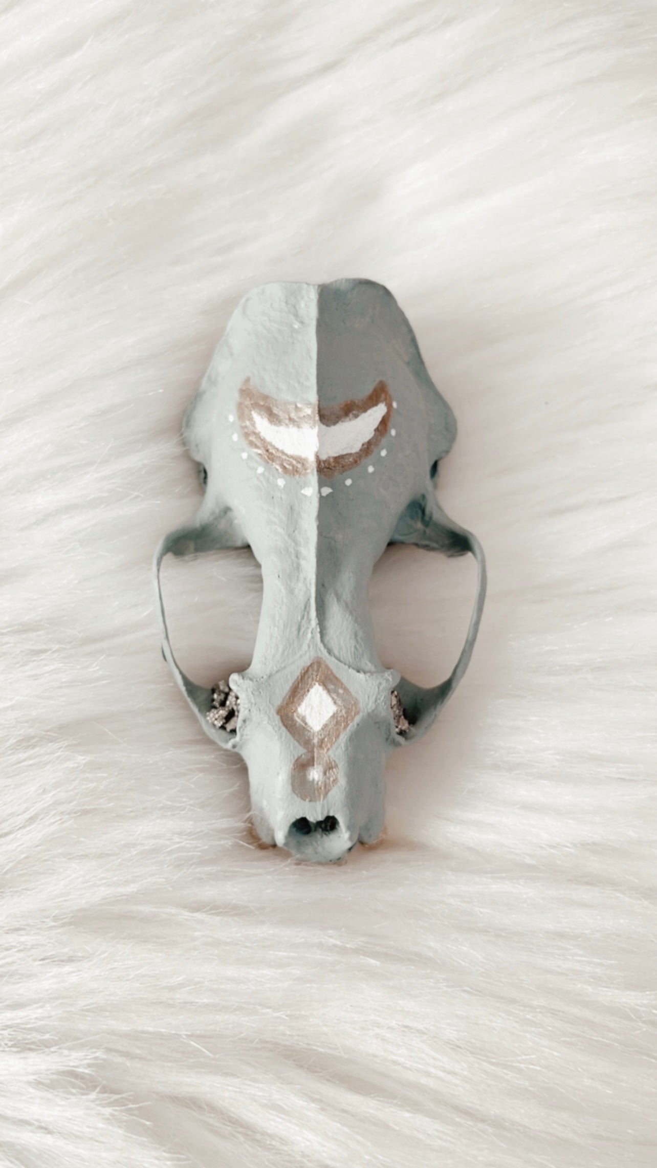 Cullen Mink Skull