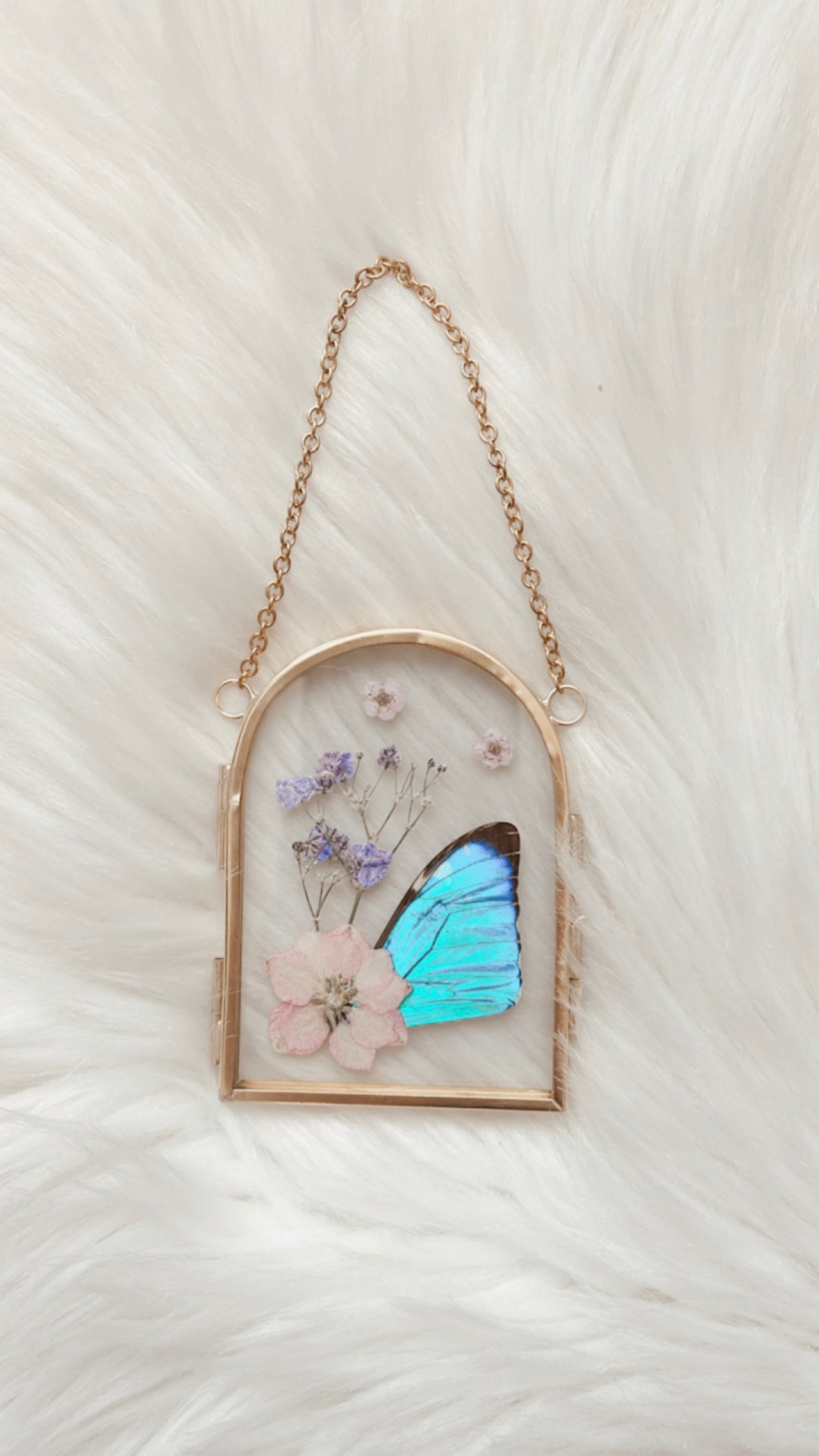 Daisy Butterfly Floral Frame