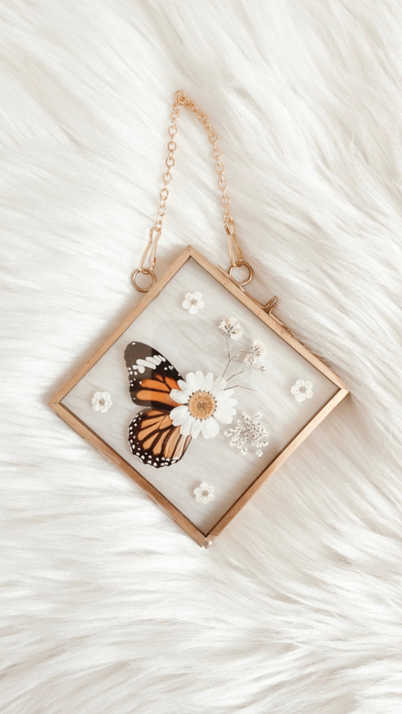 Daisy Butterfly Floral Frame