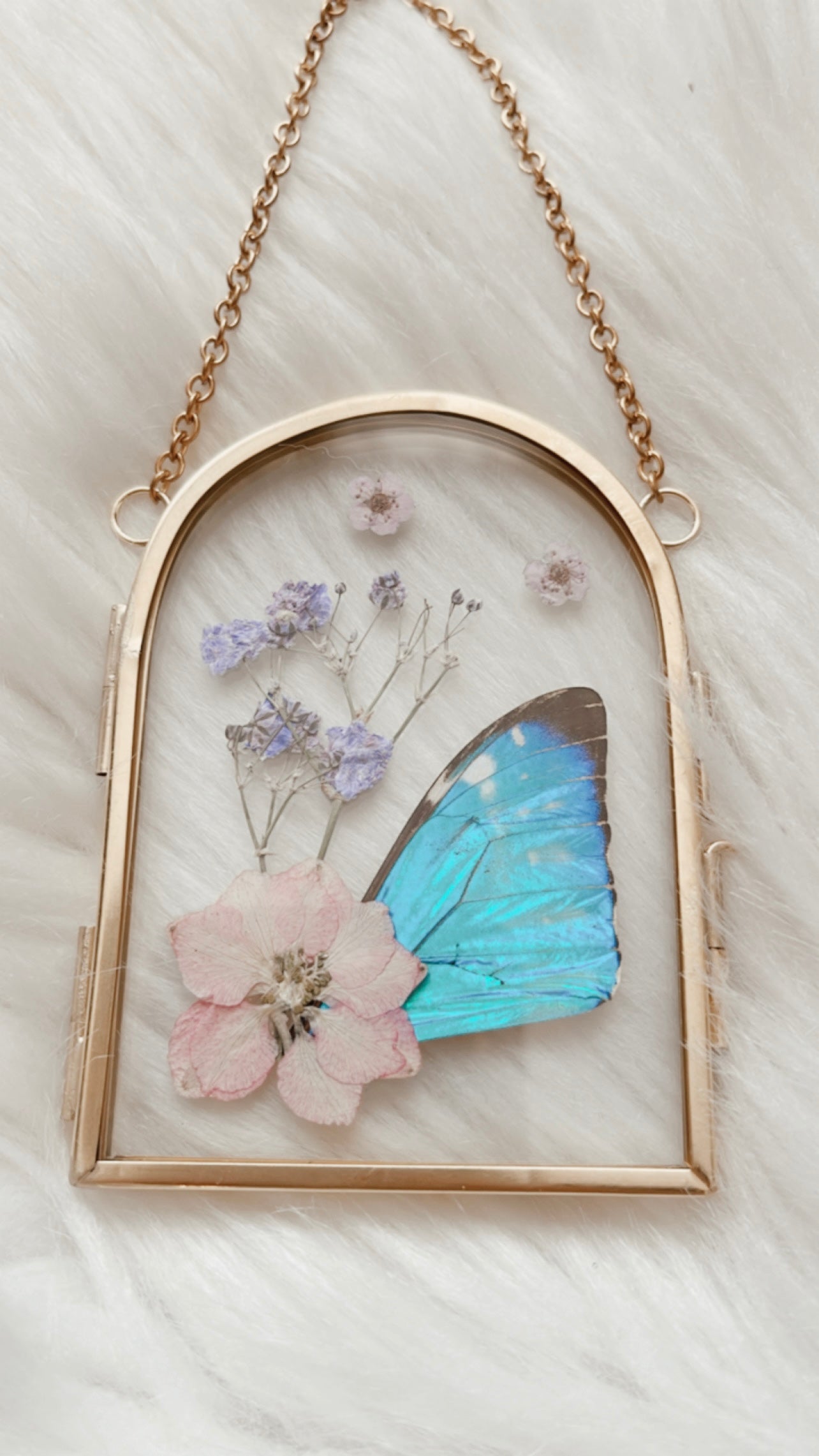 Daisy Butterfly Floral Frame