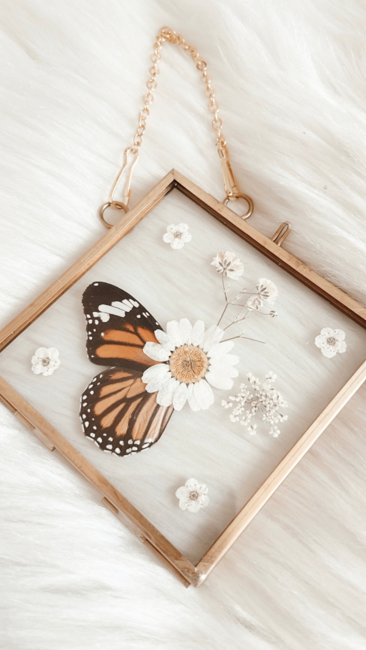 Daisy Butterfly Floral Frame