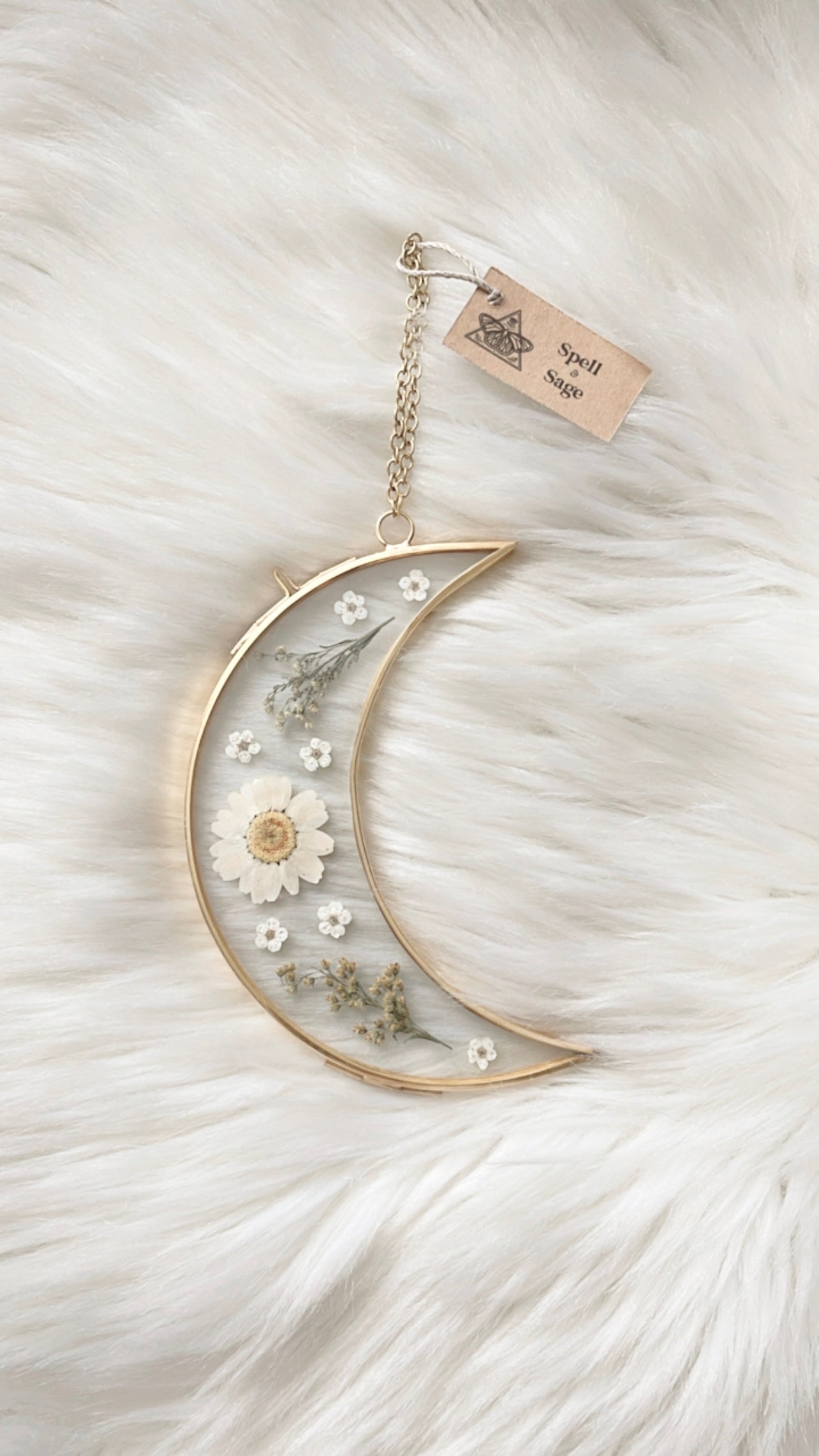 Daisy Moon Floral Frame <5.5in>