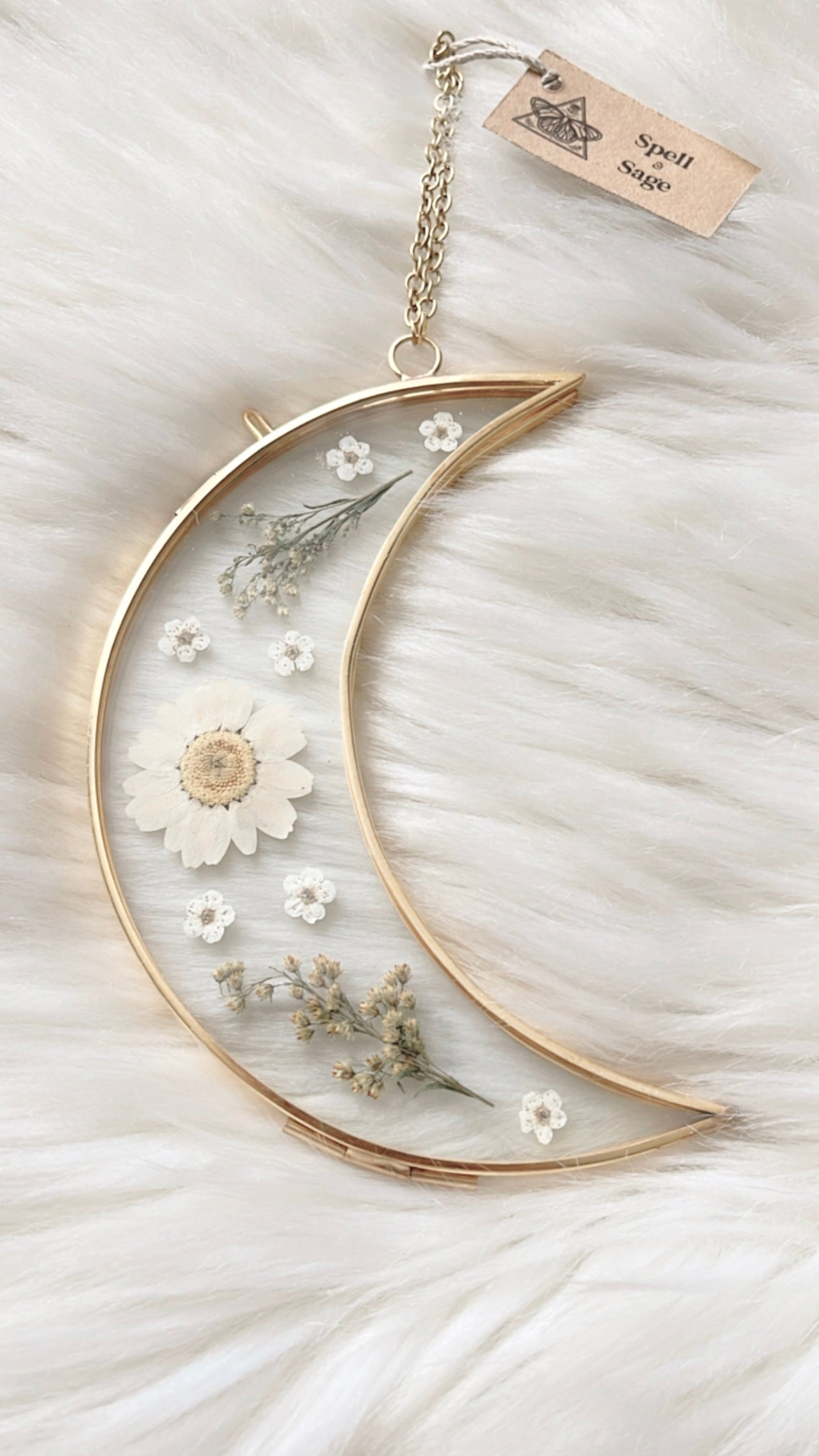 Daisy Moon Floral Frame <5.5in>