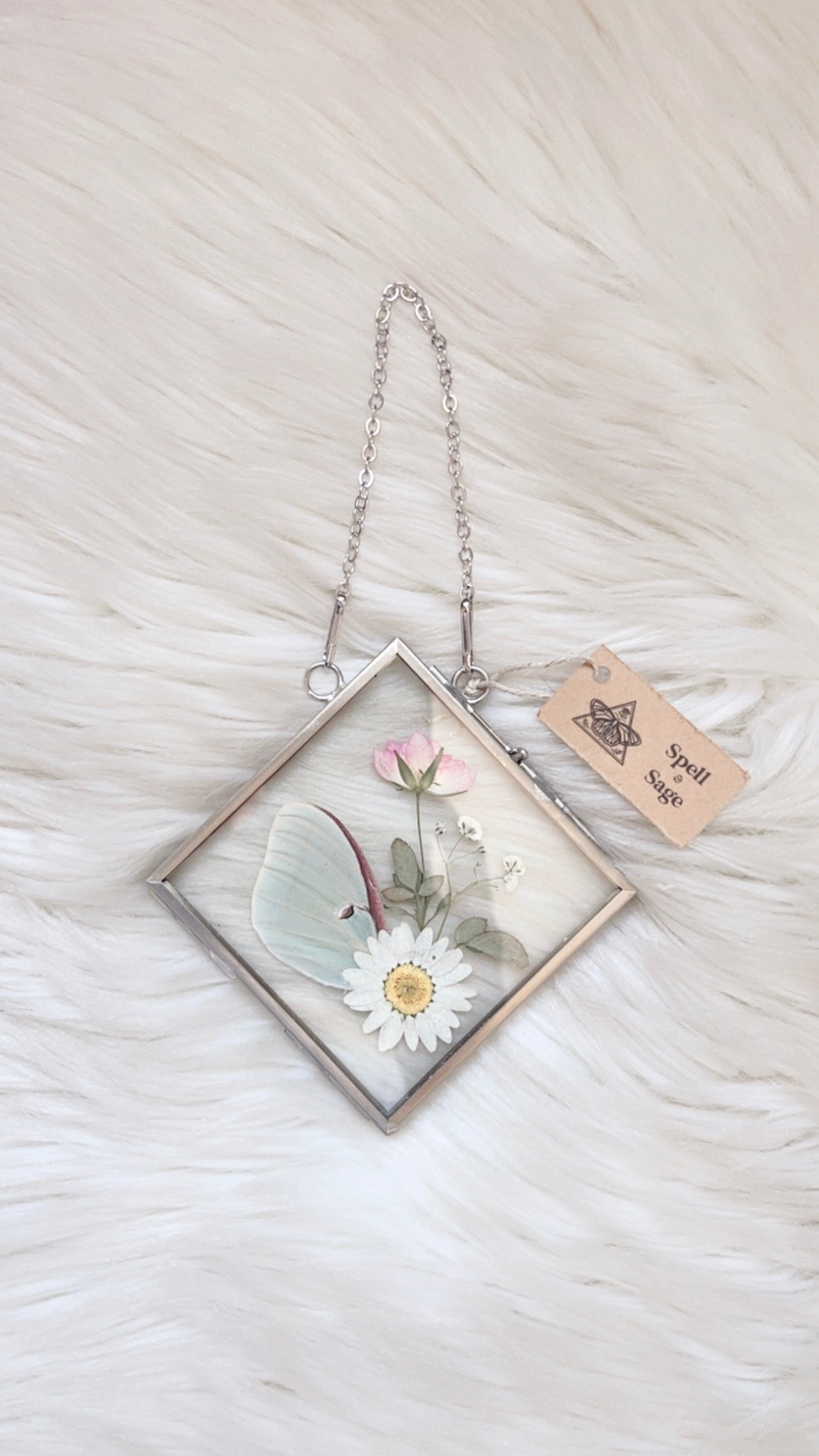Daphne Moth Floral Frame <4.75x4.75in>