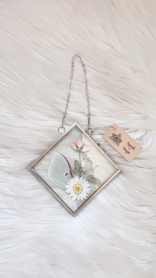 Daphne Moth Floral Frame <4.75x4.75in>
