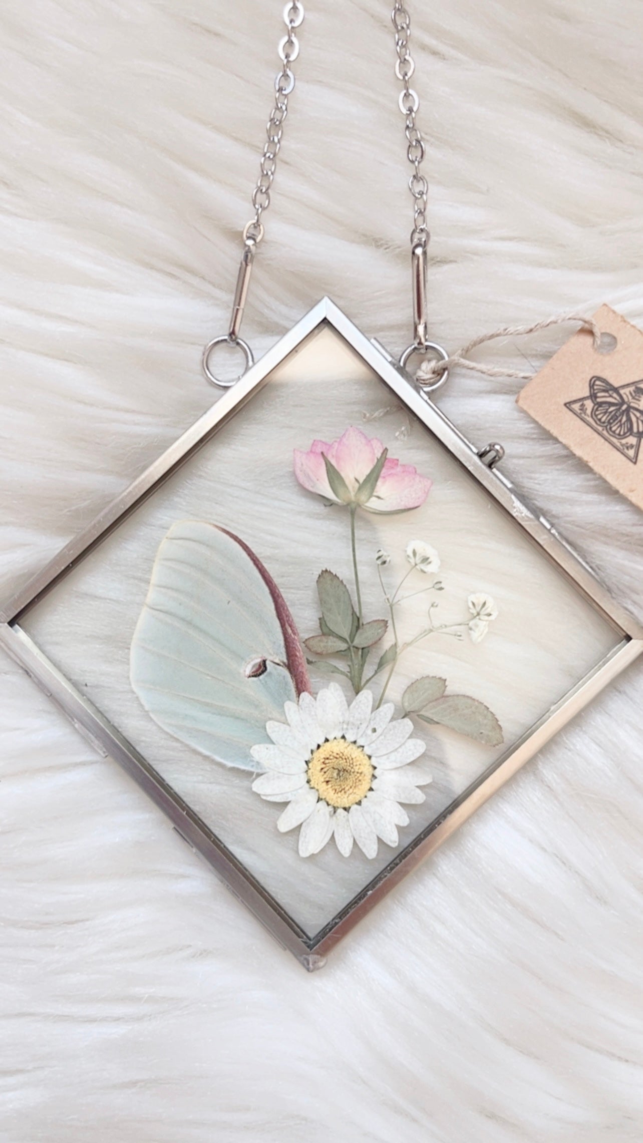 Daphne Moth Floral Frame <4.75x4.75in>