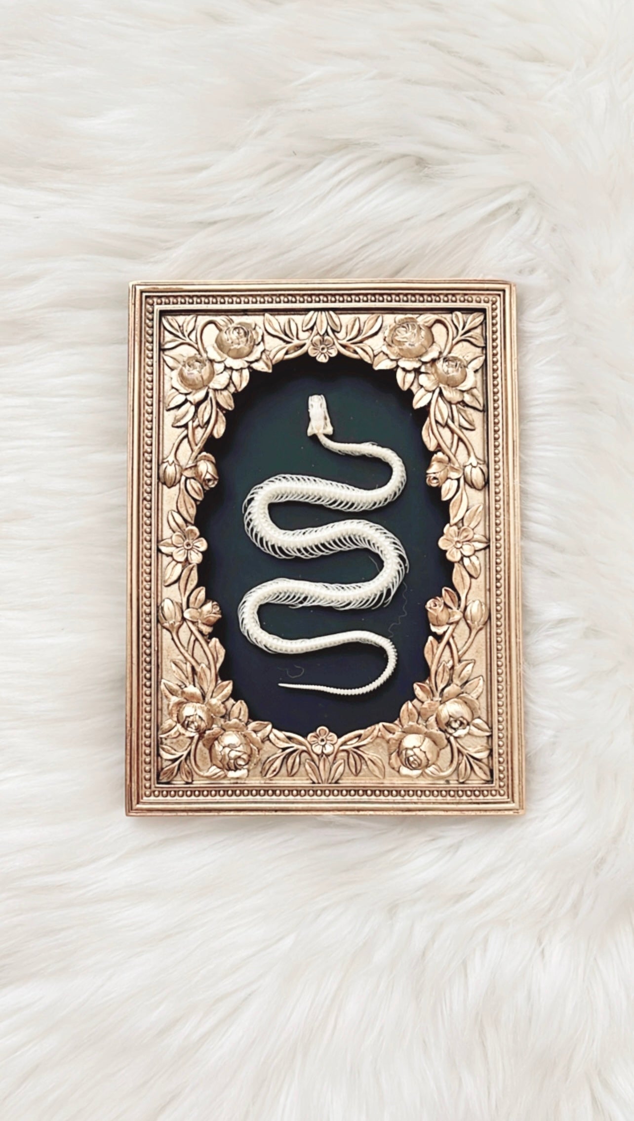 Daphne Snake Skelly Frame