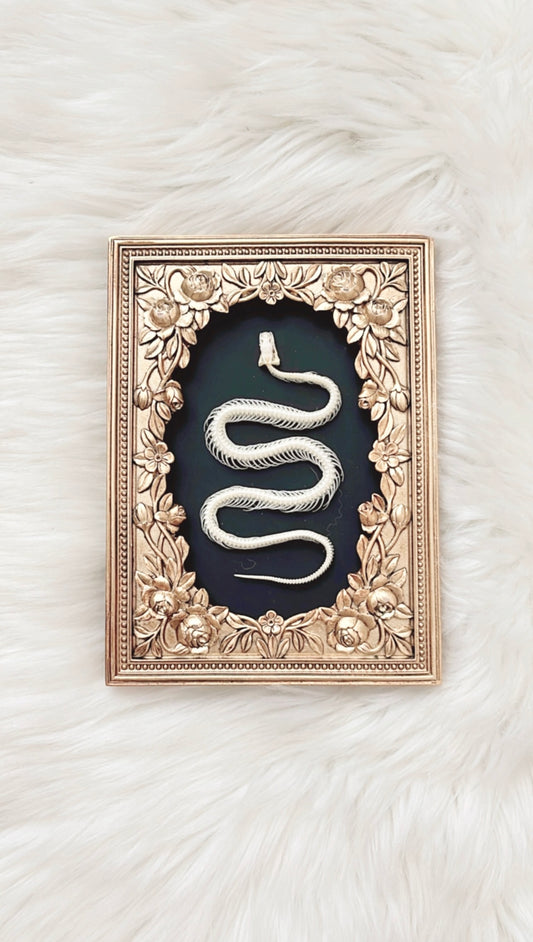 Daphne Snake Skelly Frame