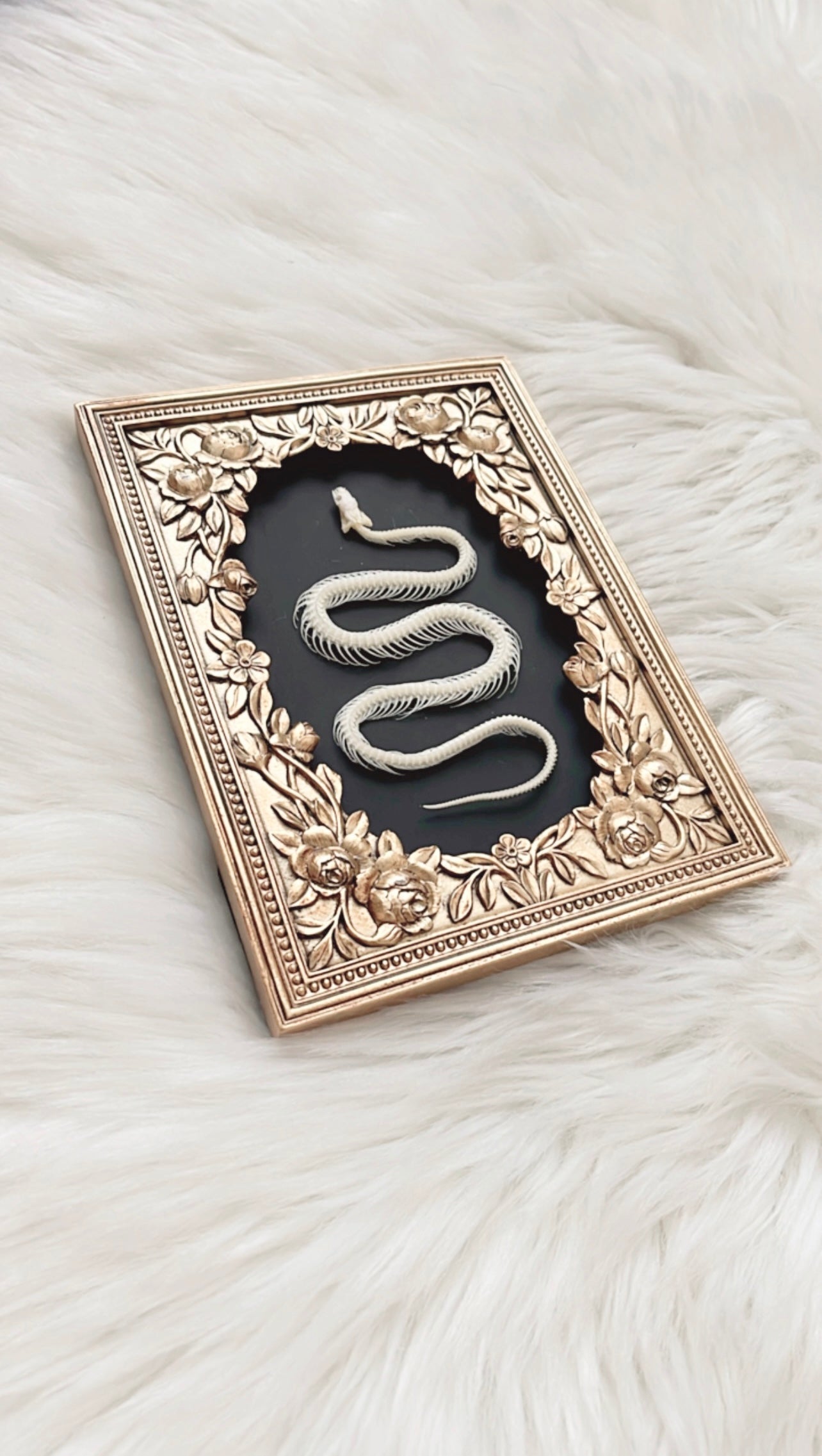 Daphne Snake Skelly Frame