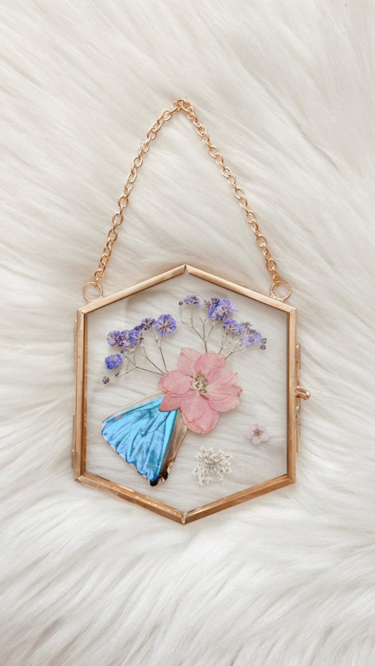 Daria Butterfly Floral Frame