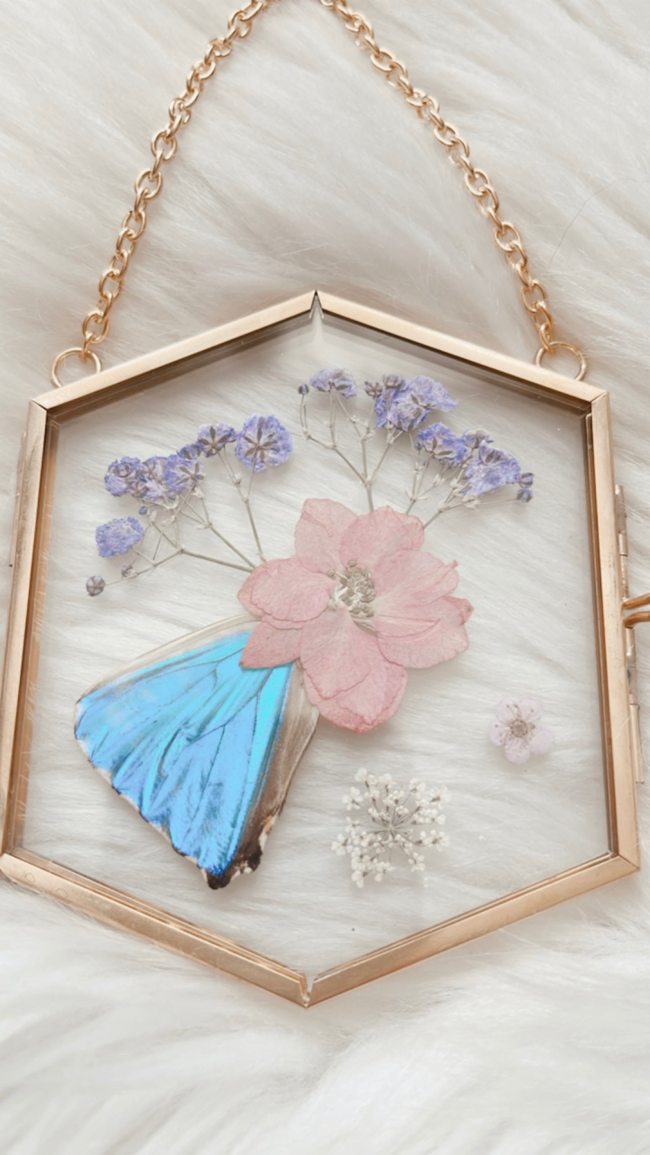 Daria Butterfly Floral Frame