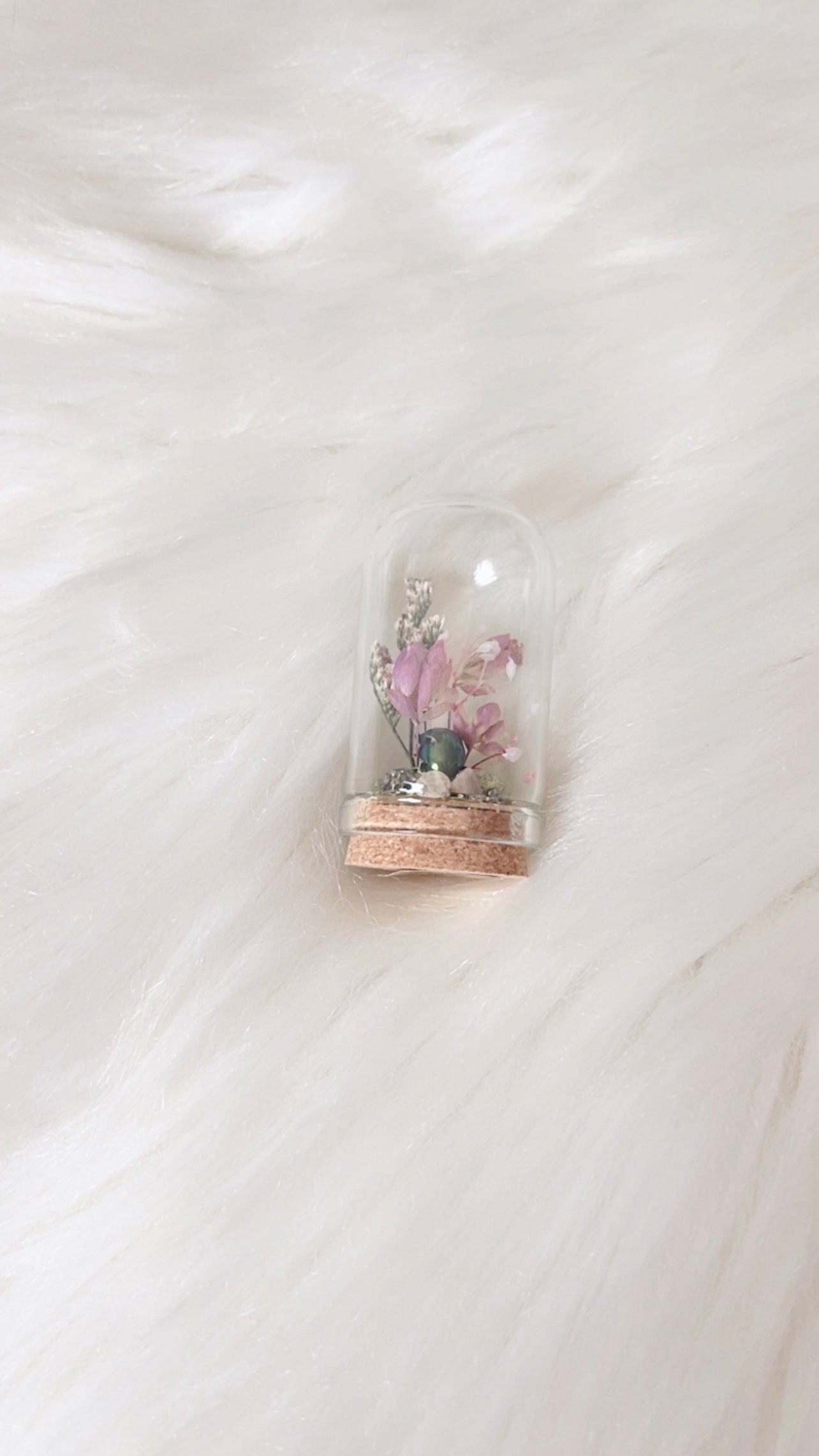 Daria Mini Terrarium