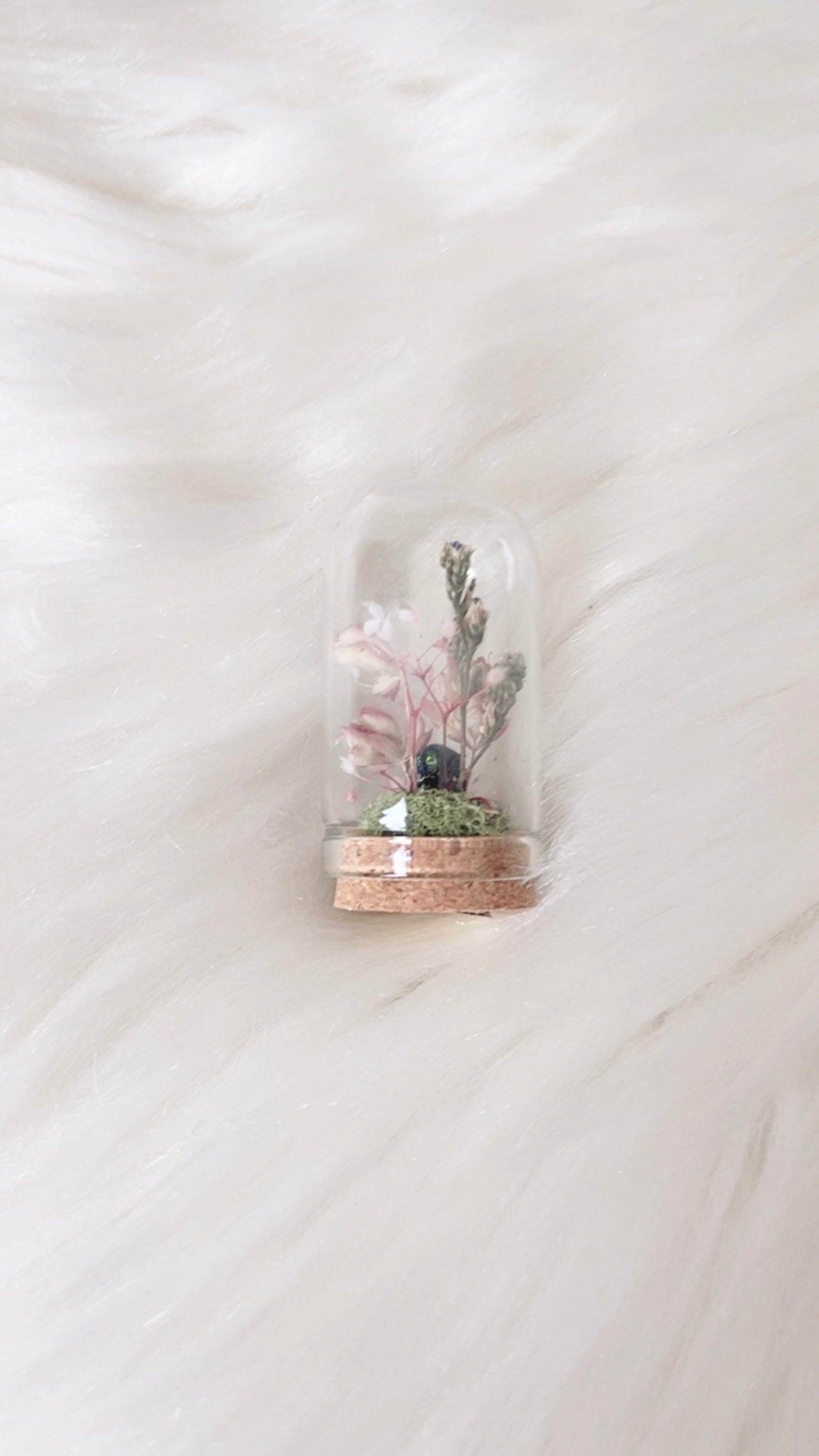 Daria Mini Terrarium