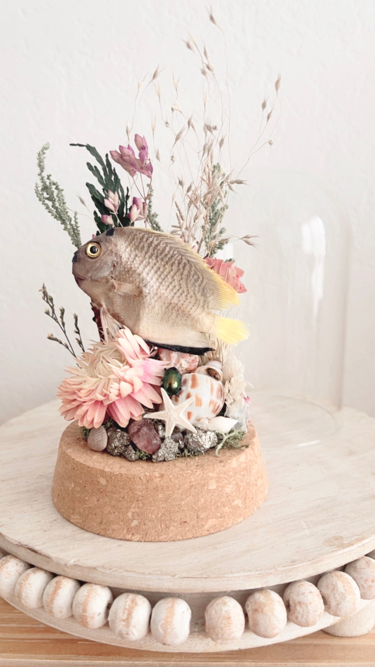 Darya Terrarium