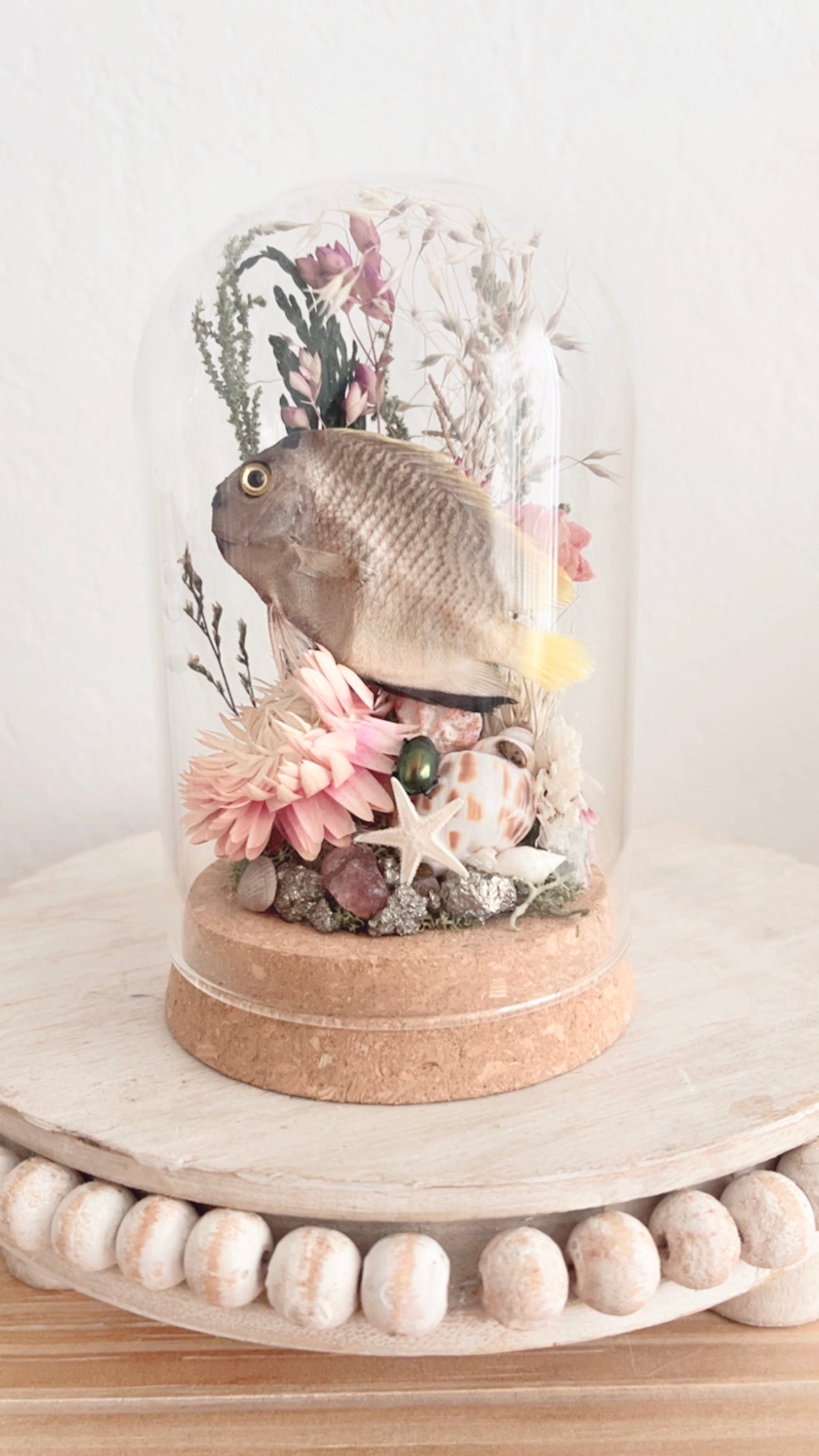 Darya Terrarium