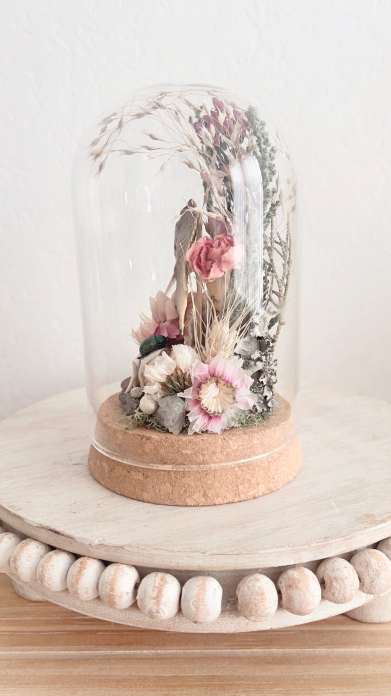 Darya Terrarium