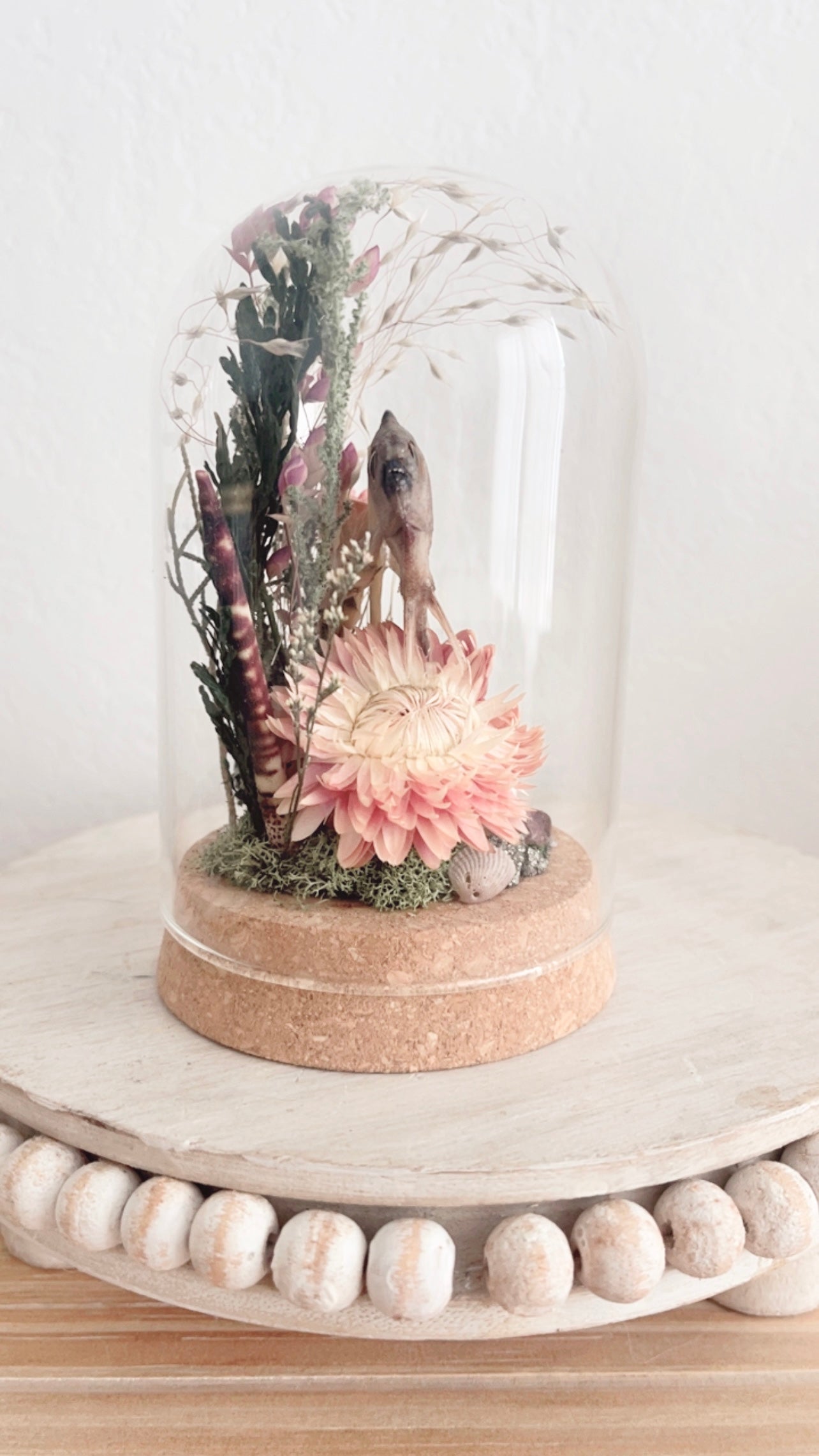 Darya Terrarium