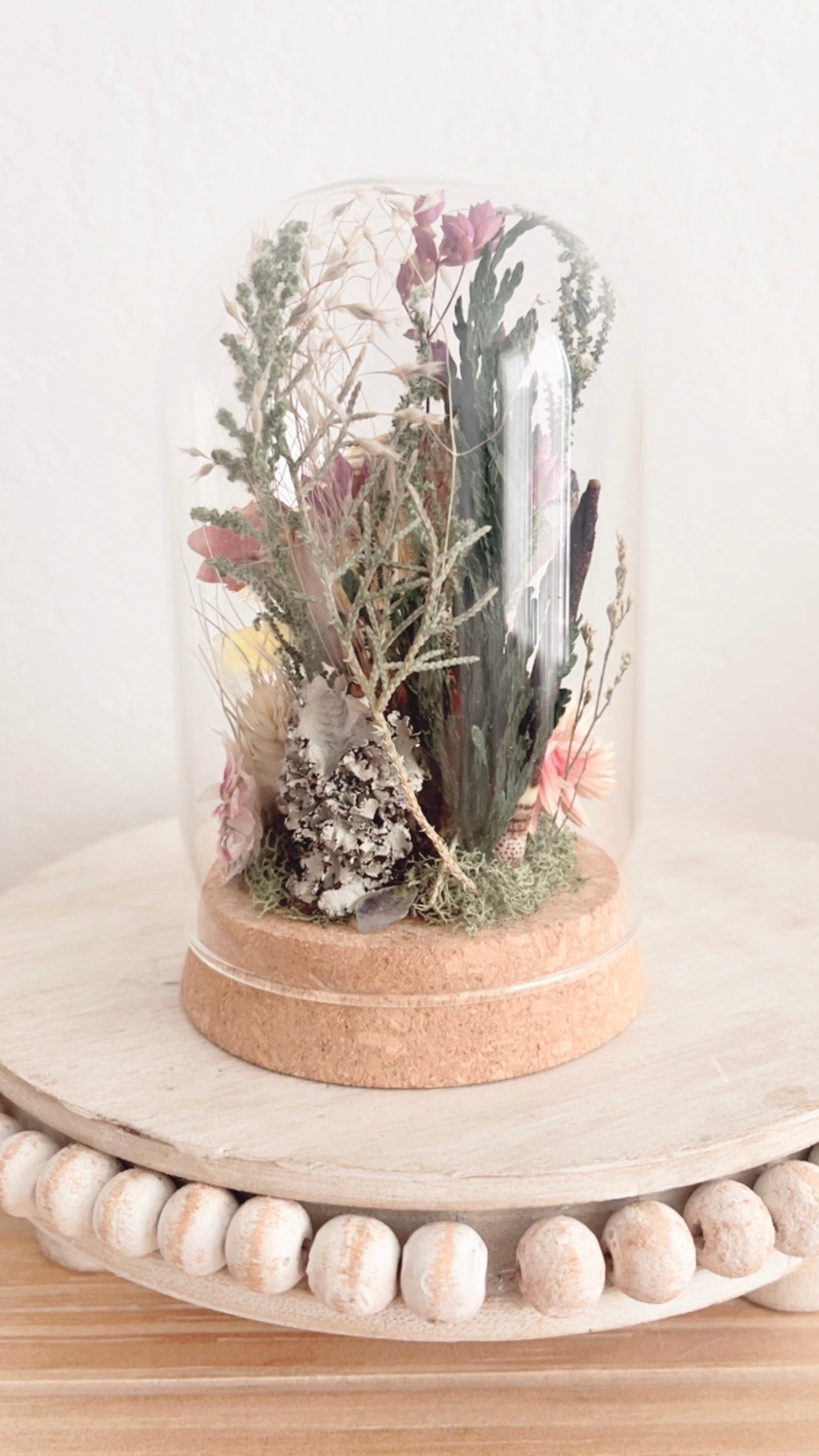 Darya Terrarium