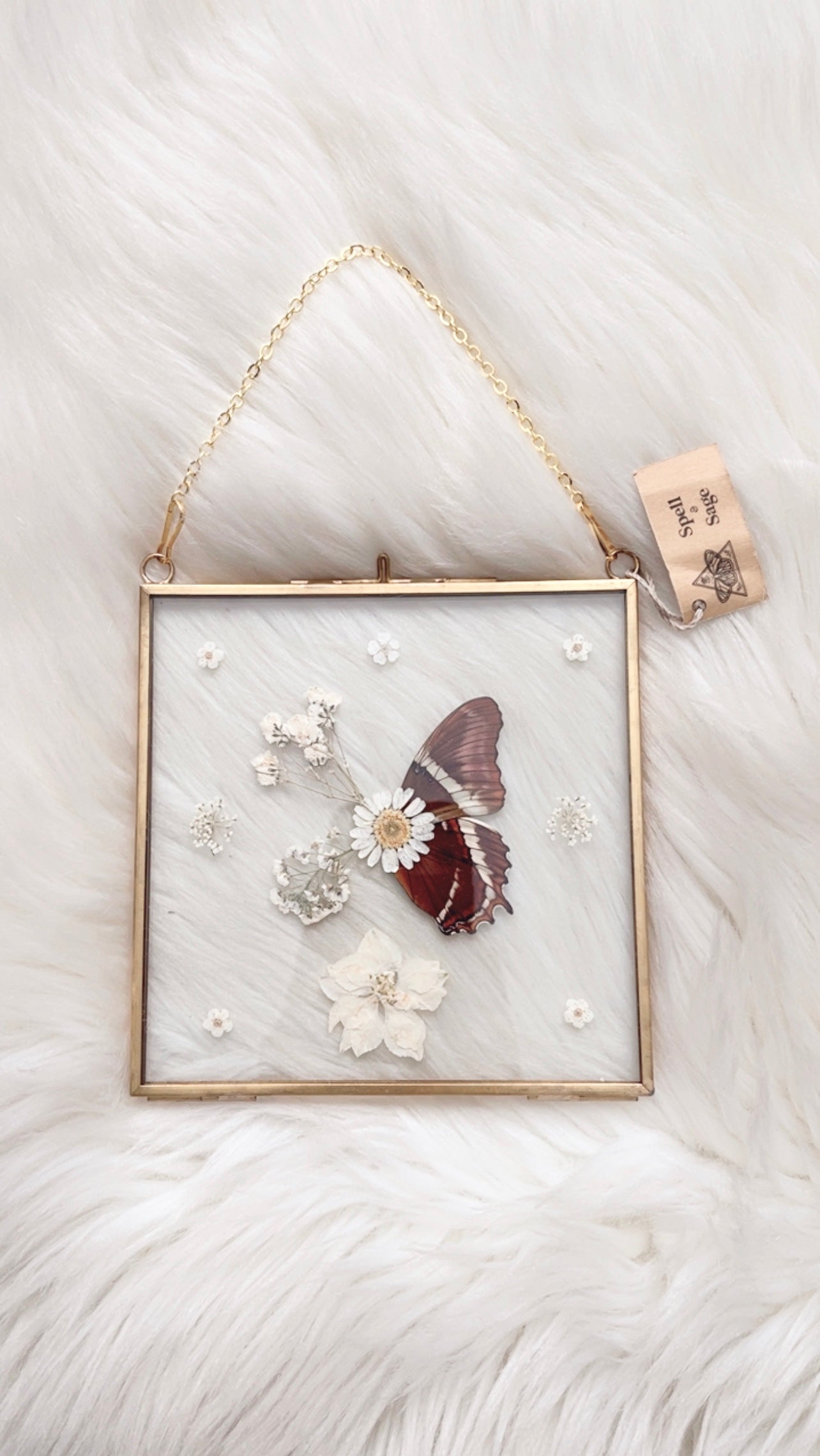 Deb Butterfly Floral Frame <5.5x5.5in>