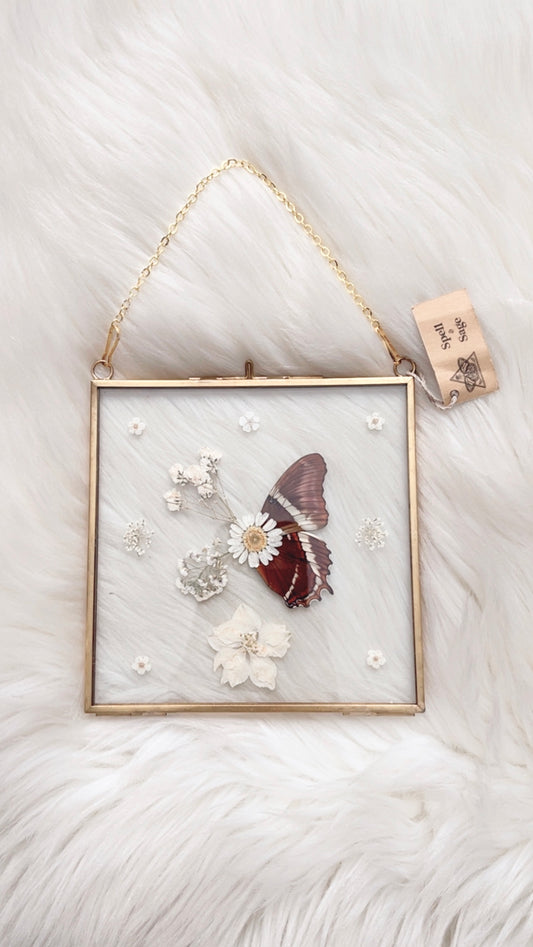 Deb Butterfly Floral Frame <5.5x5.5in>