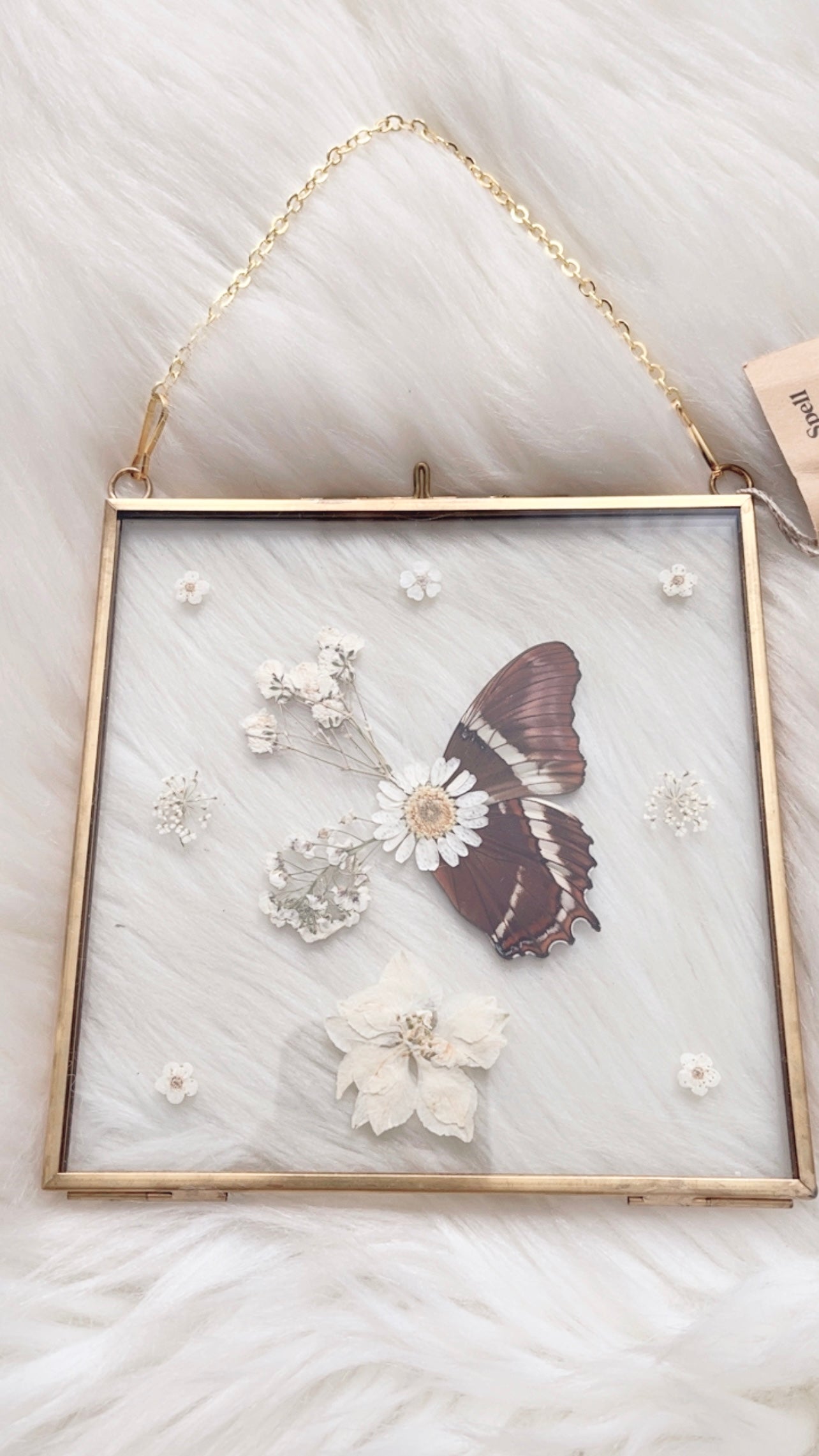 Deb Butterfly Floral Frame <5.5x5.5in>