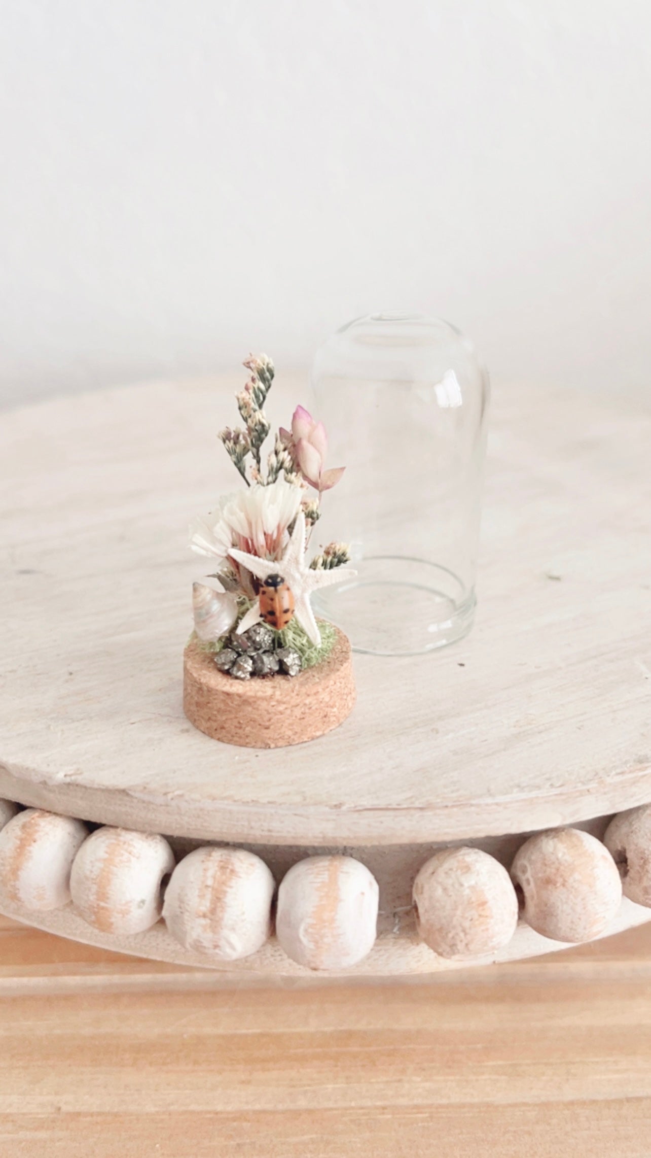 Delphine Mini Terrarium