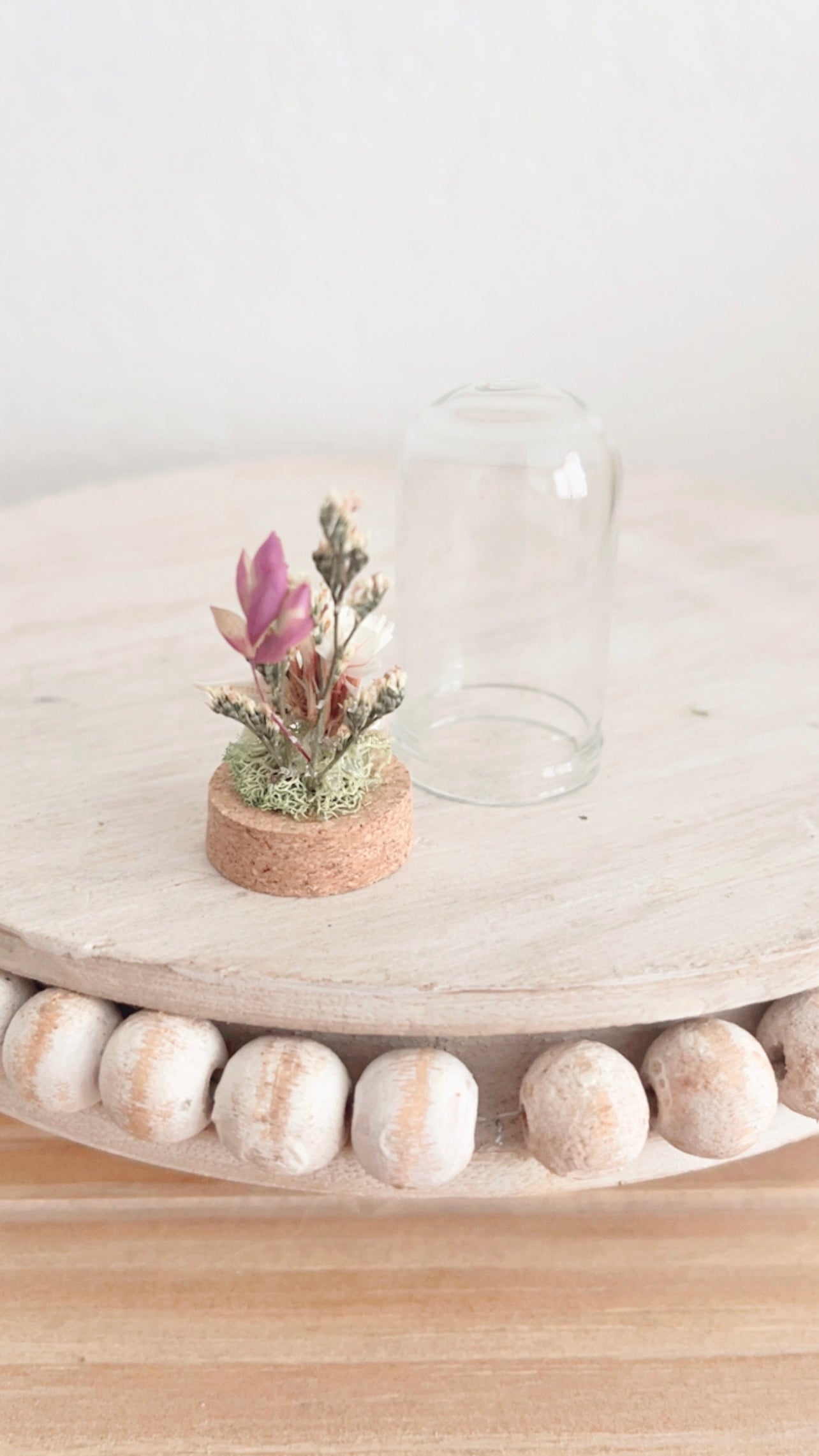 Delphine Mini Terrarium