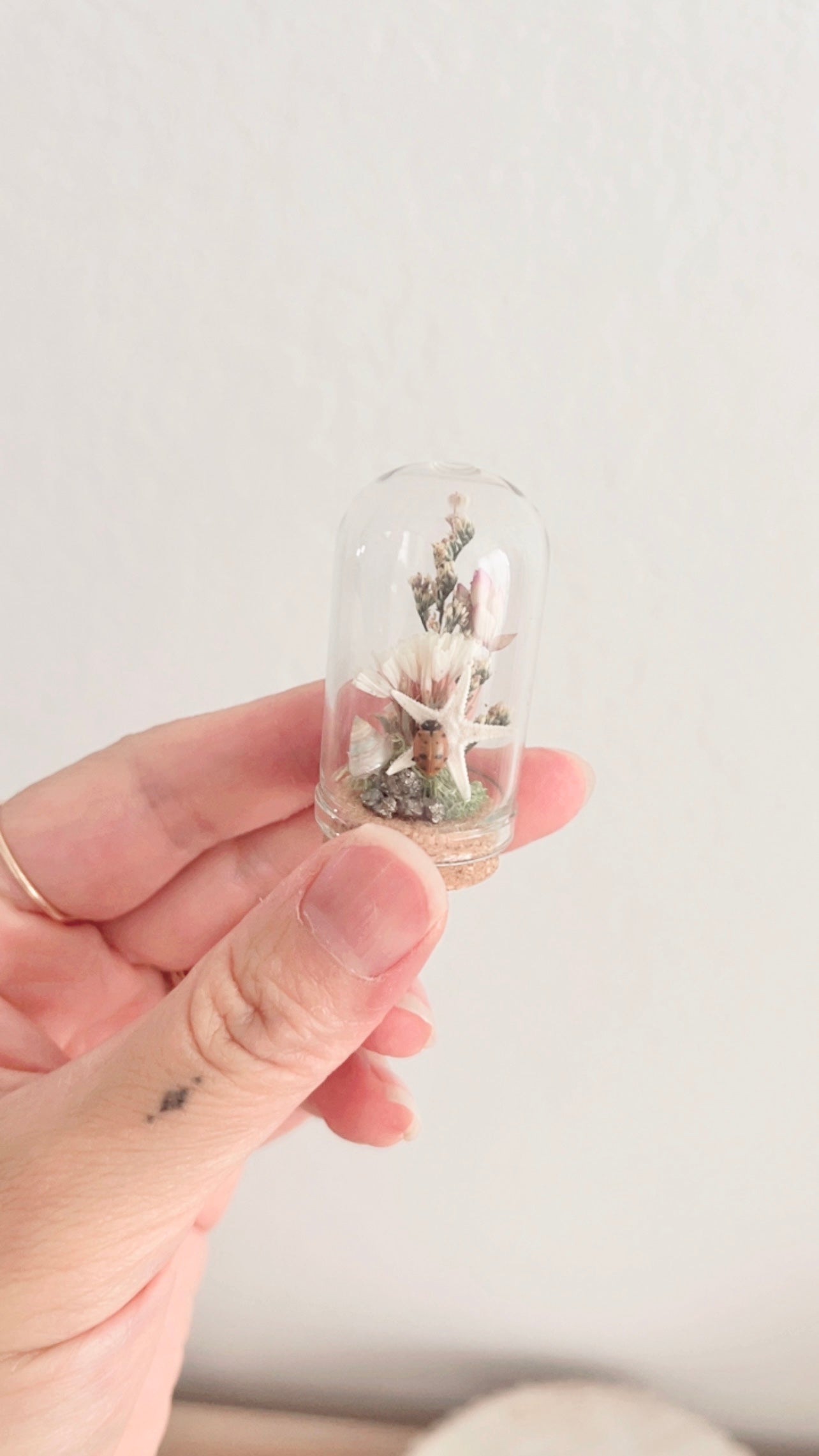 Delphine Mini Terrarium