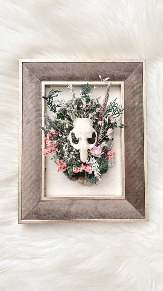 Delphine Oddities Frame <Muskrat Skull>
