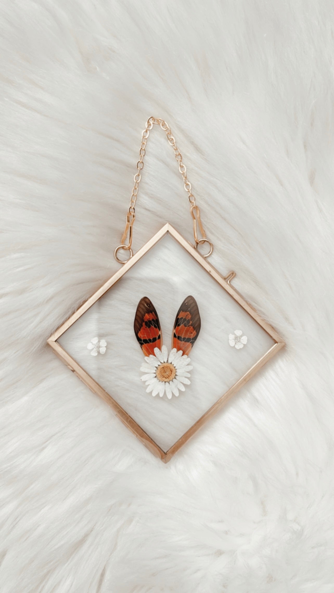 Demi Cicada Floral Frame