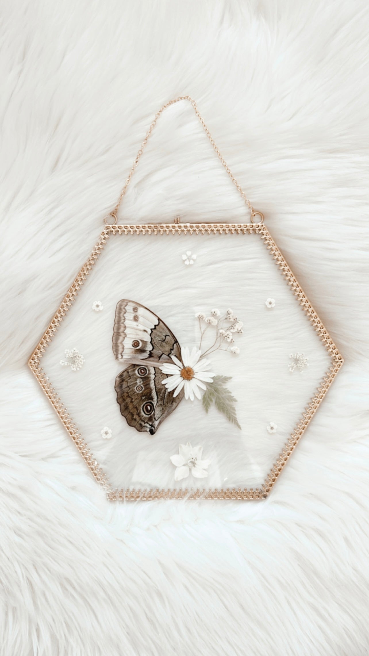 Diana Butterfly Floral Frame