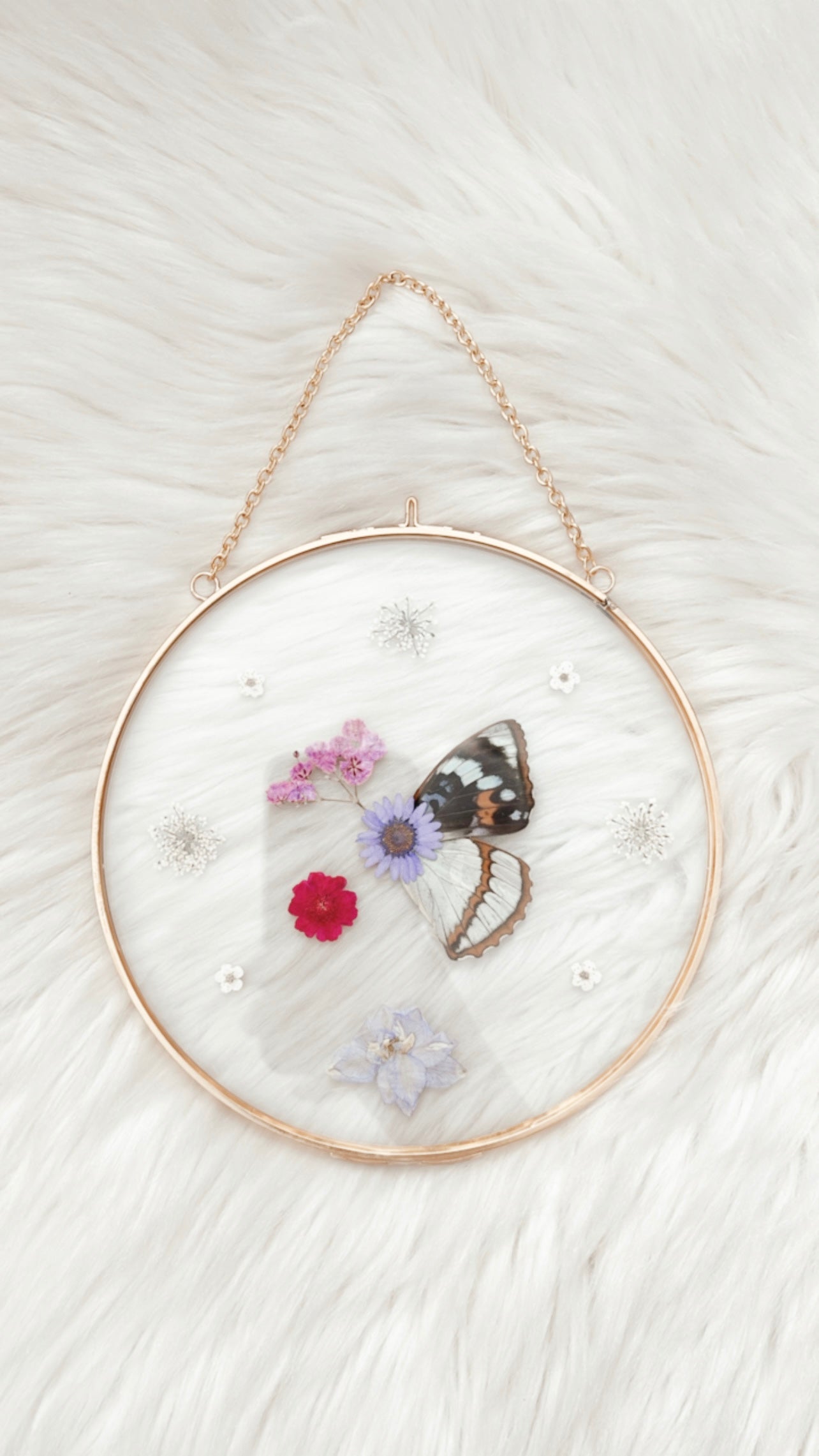 Dolly Butterfly Floral Frame