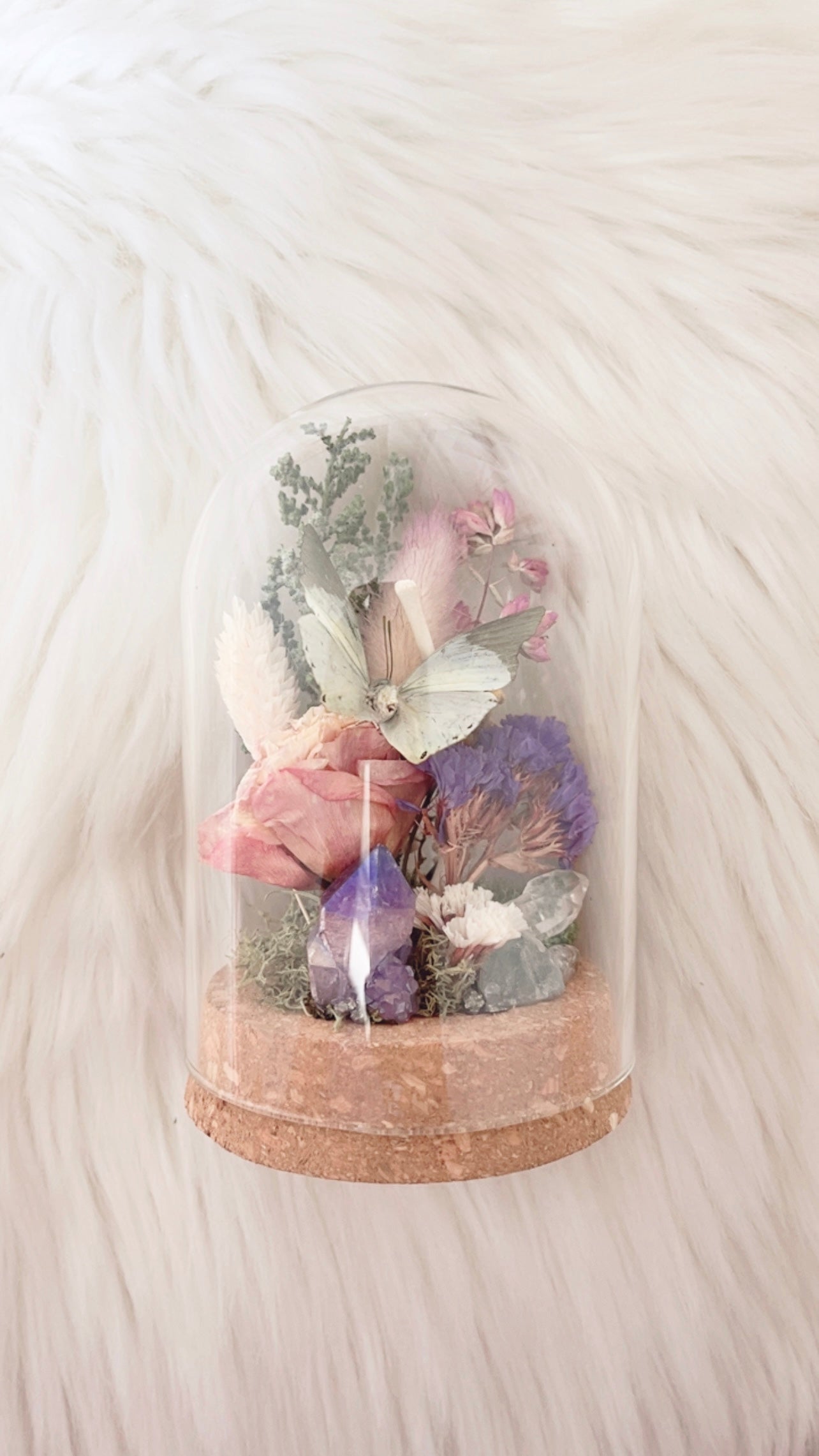 Eden Terrarium